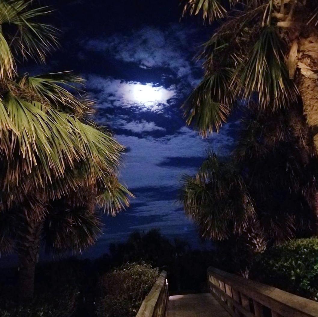 🔥 Amelia Island, FL. r/NatureIsFuckingLit