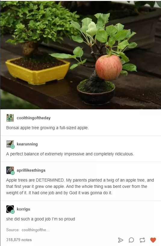 trees have feelings and determination too, so why don't you? r