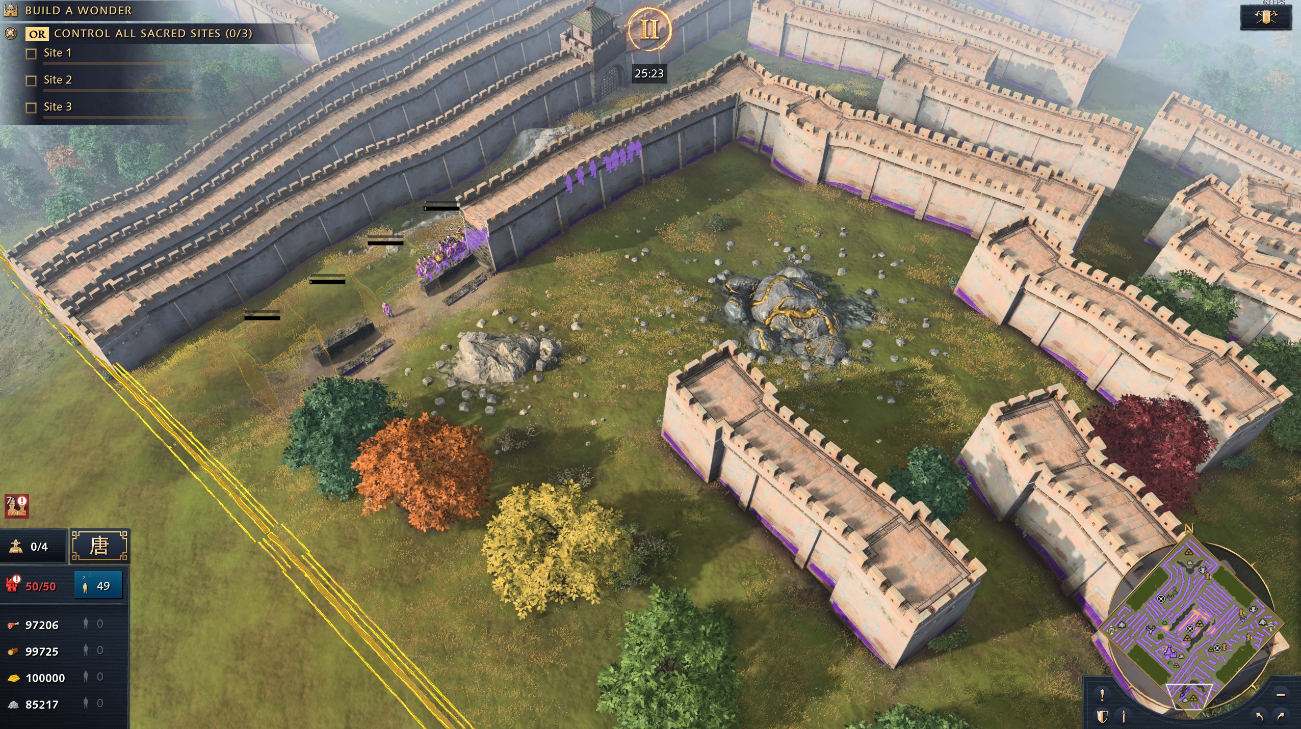 What 1000 walls looks like r/aoe4