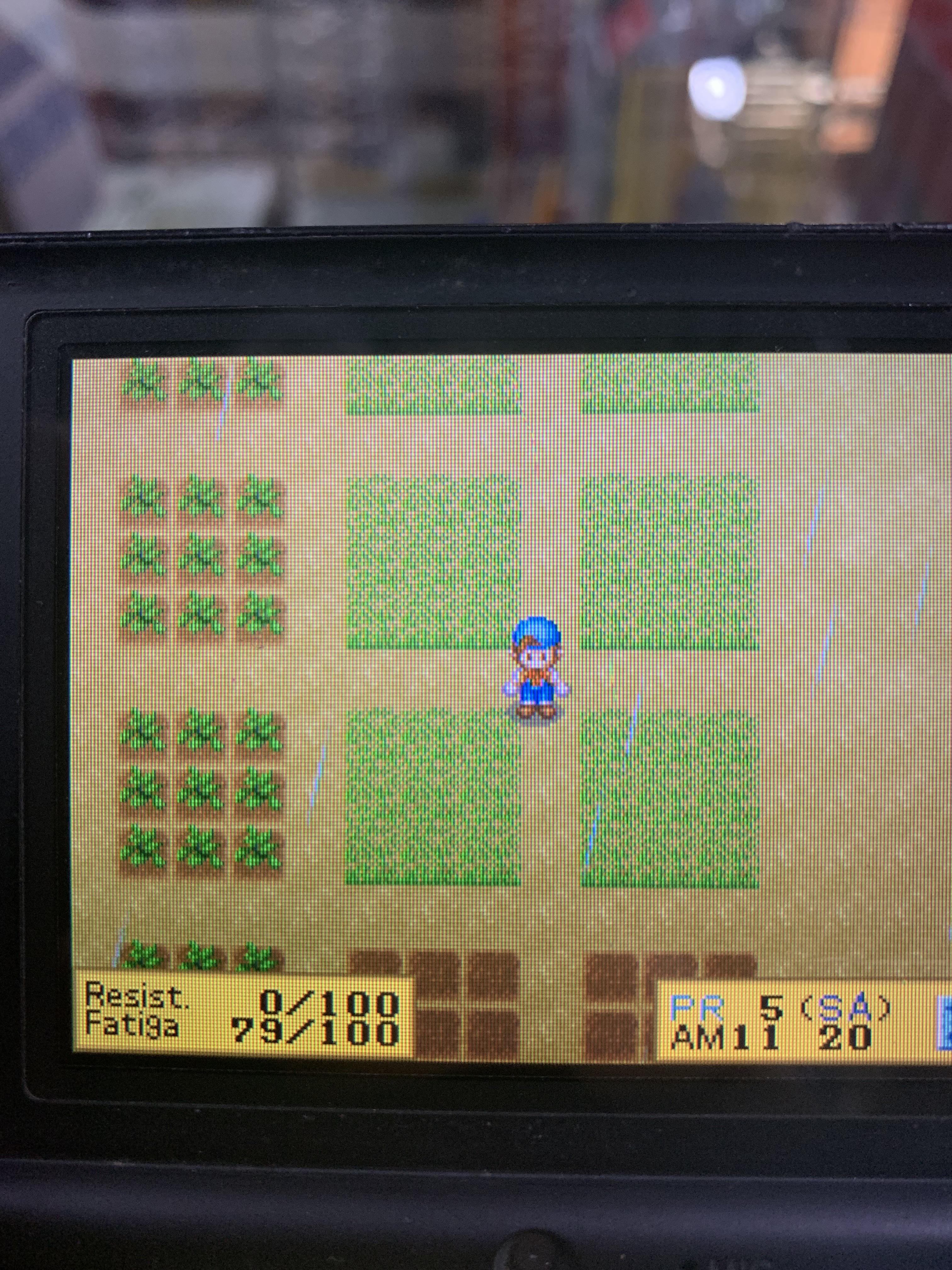 How do I get rid of this fodder? r/harvestmoon
