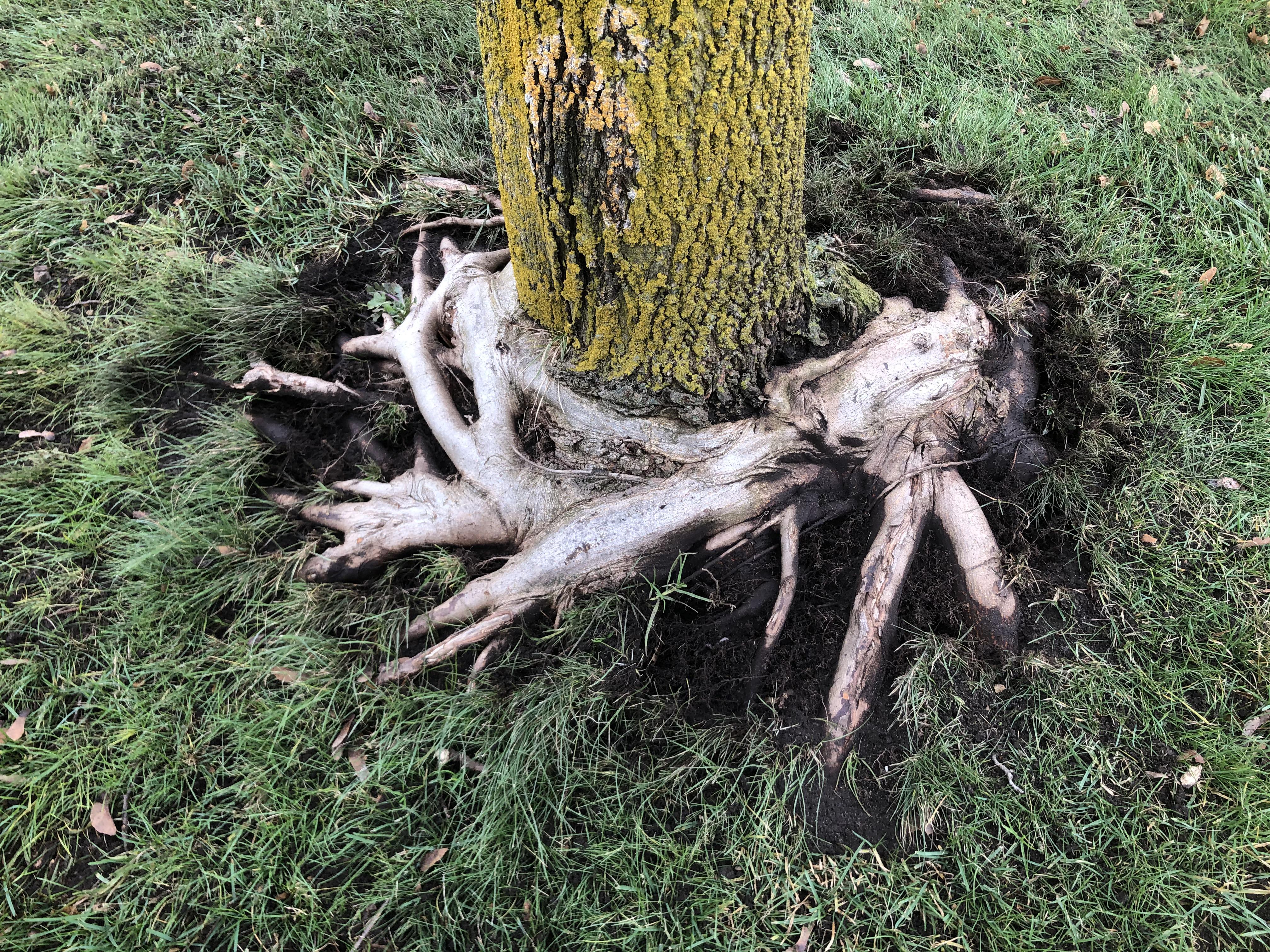 A different post inspired me to share some photos. Extreme cases of