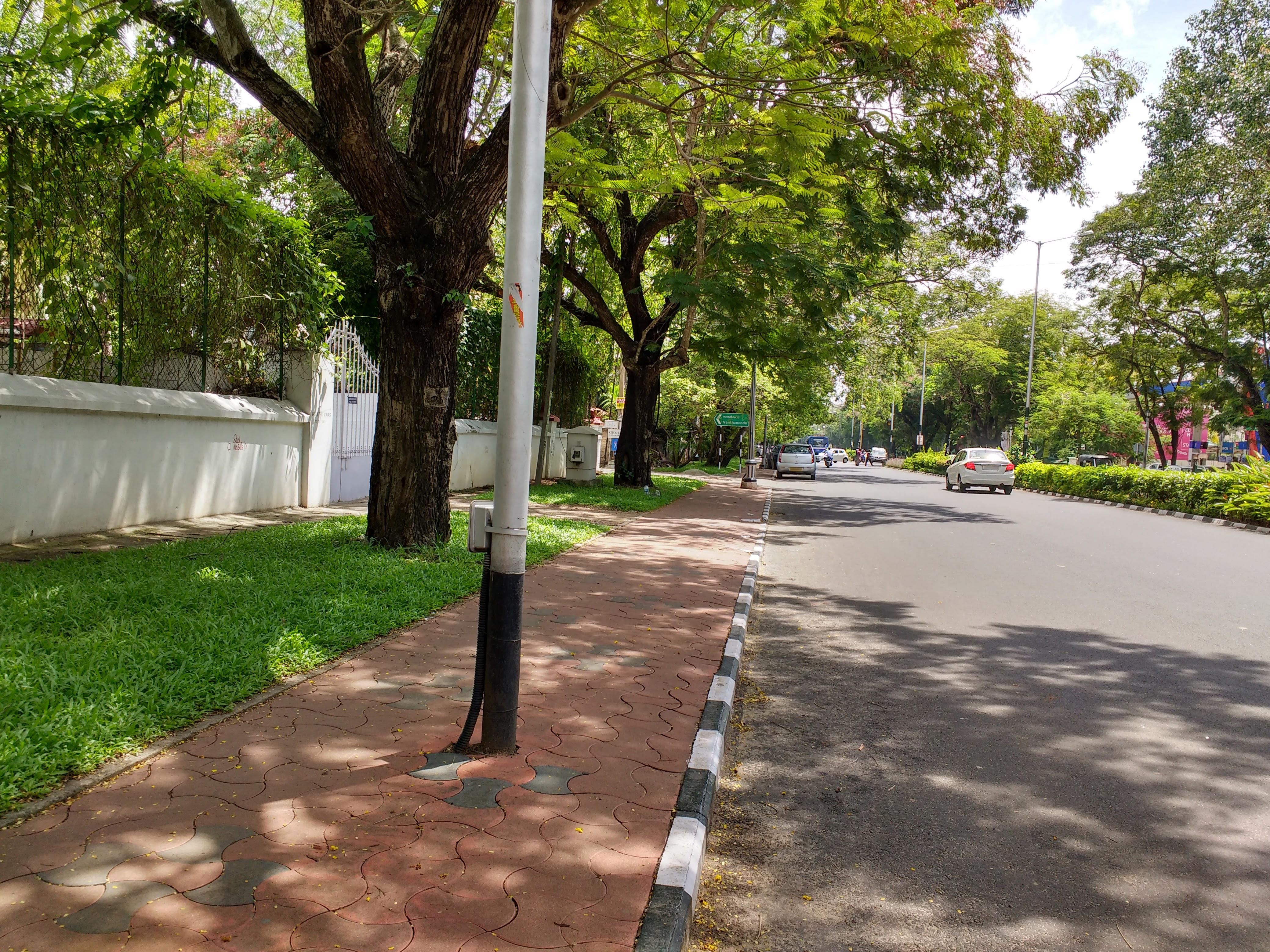 Kowdiar Vellayambalam Road, known as Raja Veedhi (Royal Road) leading