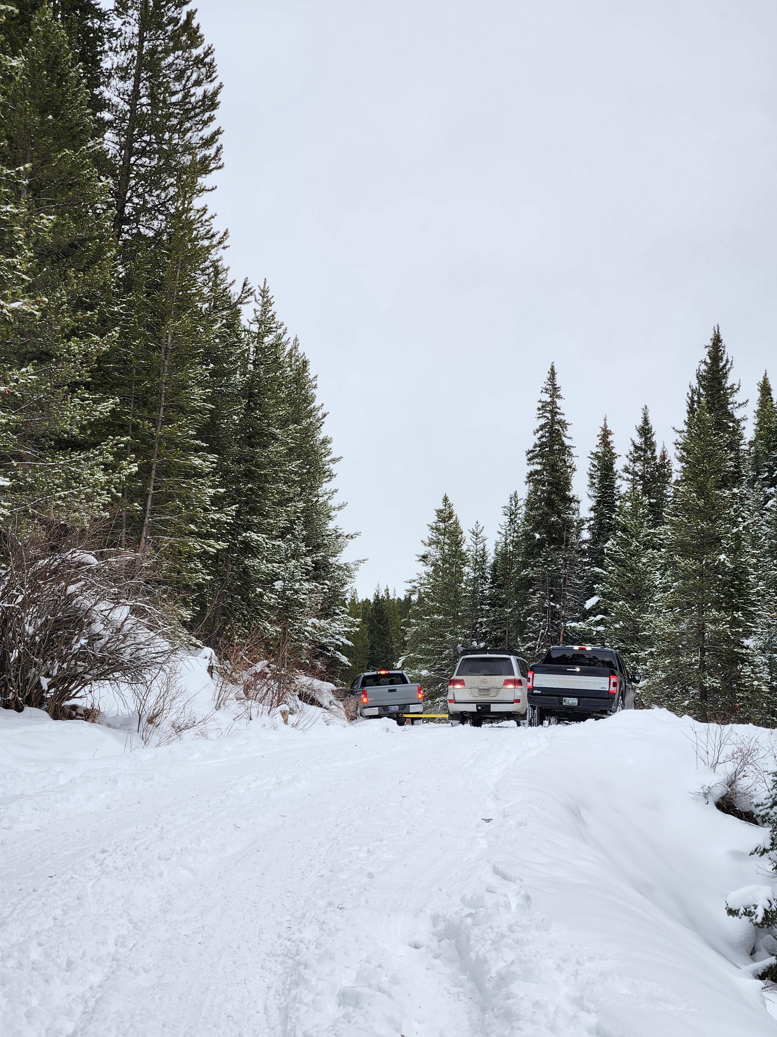 Only in Bozeman Cut down your very own Christmas tree; 7 car pile up