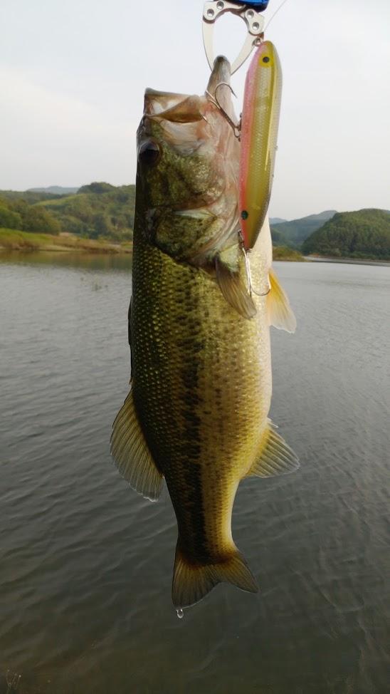 Bass fishing in South Korea. r/bassfishing