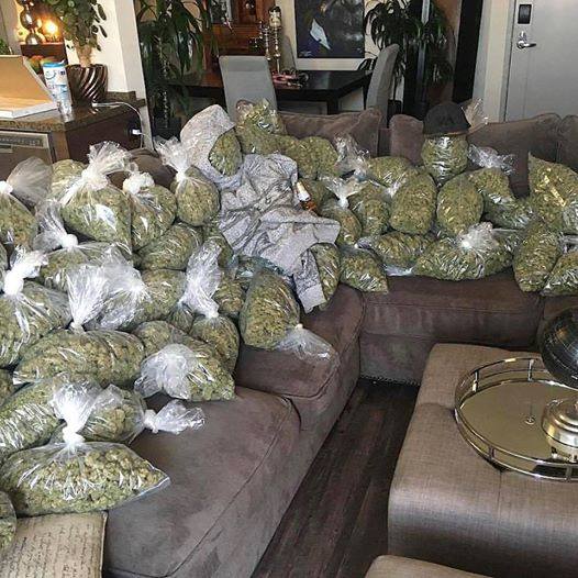 spilled weed on the sofa. r/see