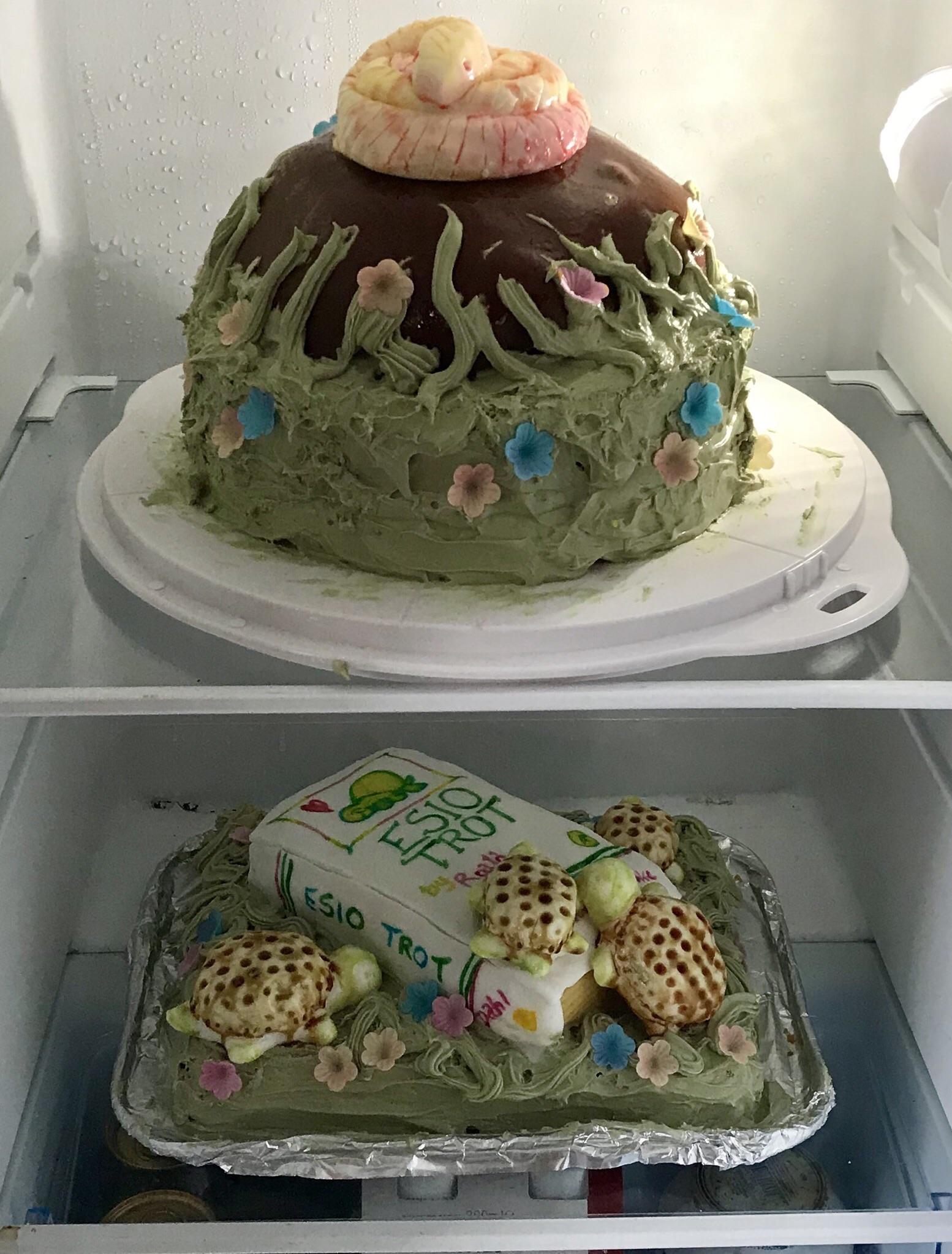 Update more than 136 snake cake nailed it super hot in.eteachers