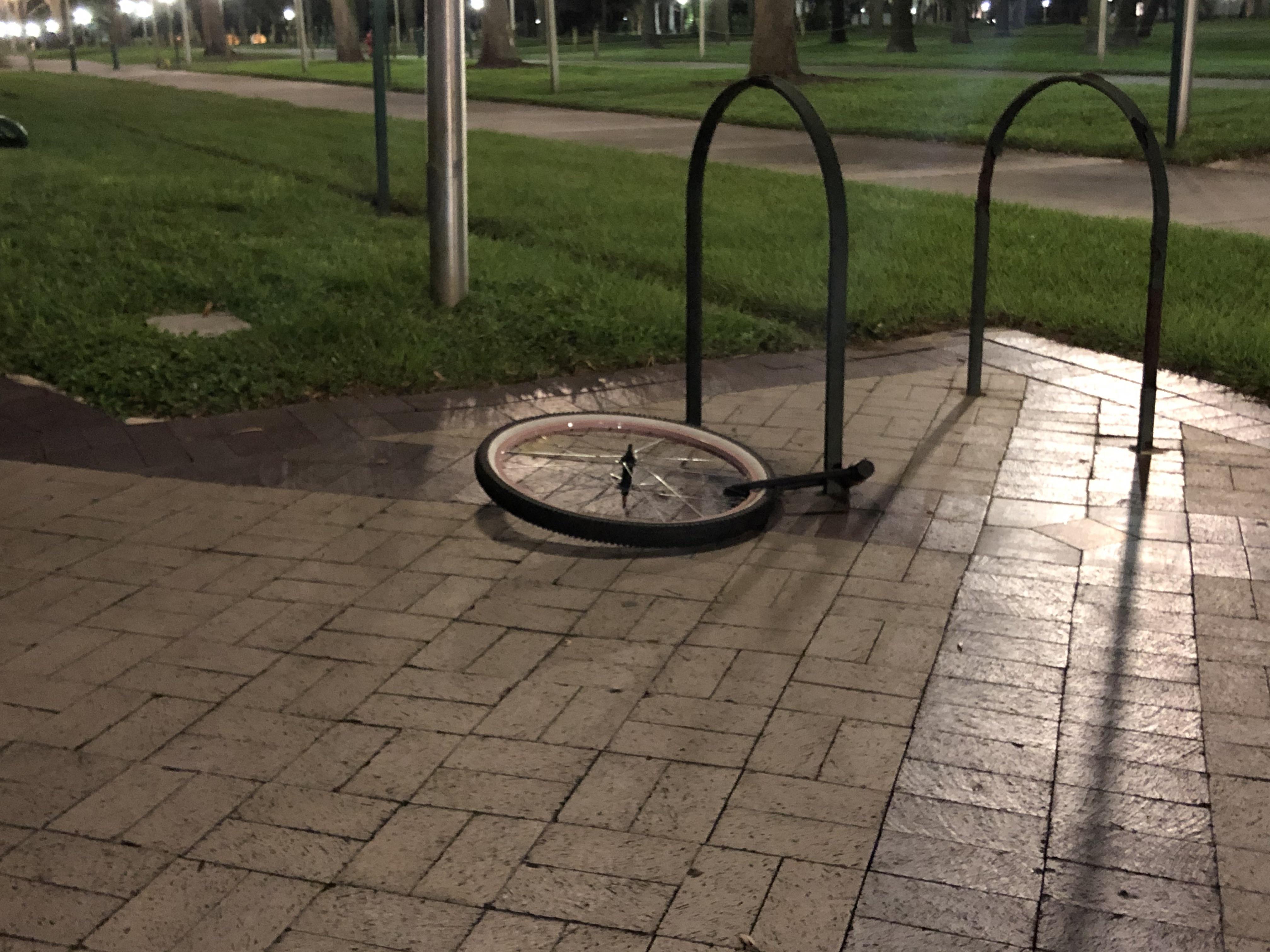 High School GPA Recalculation USF