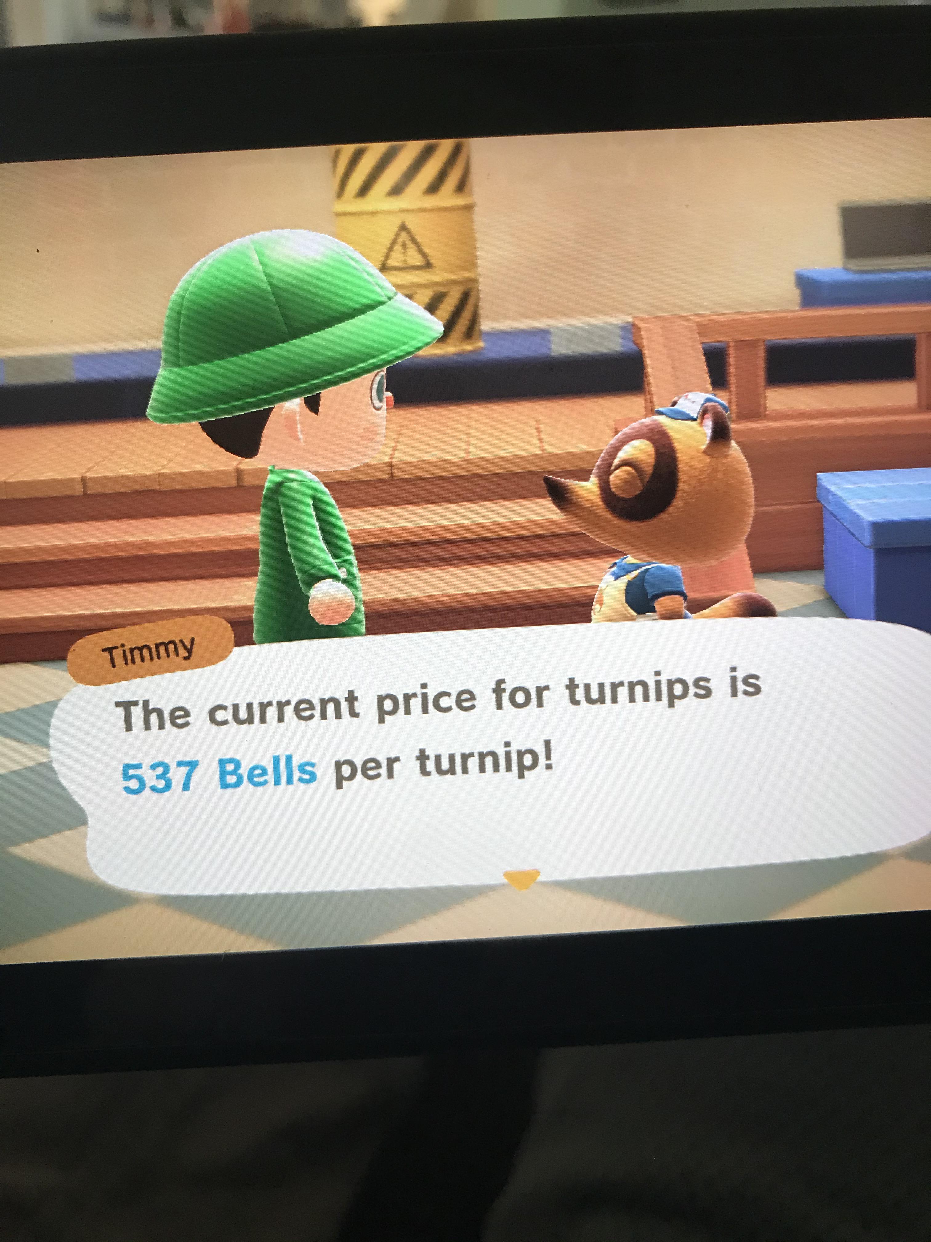 Turnip prices for 537, Tips appreciated. r/animalcrossingturnips