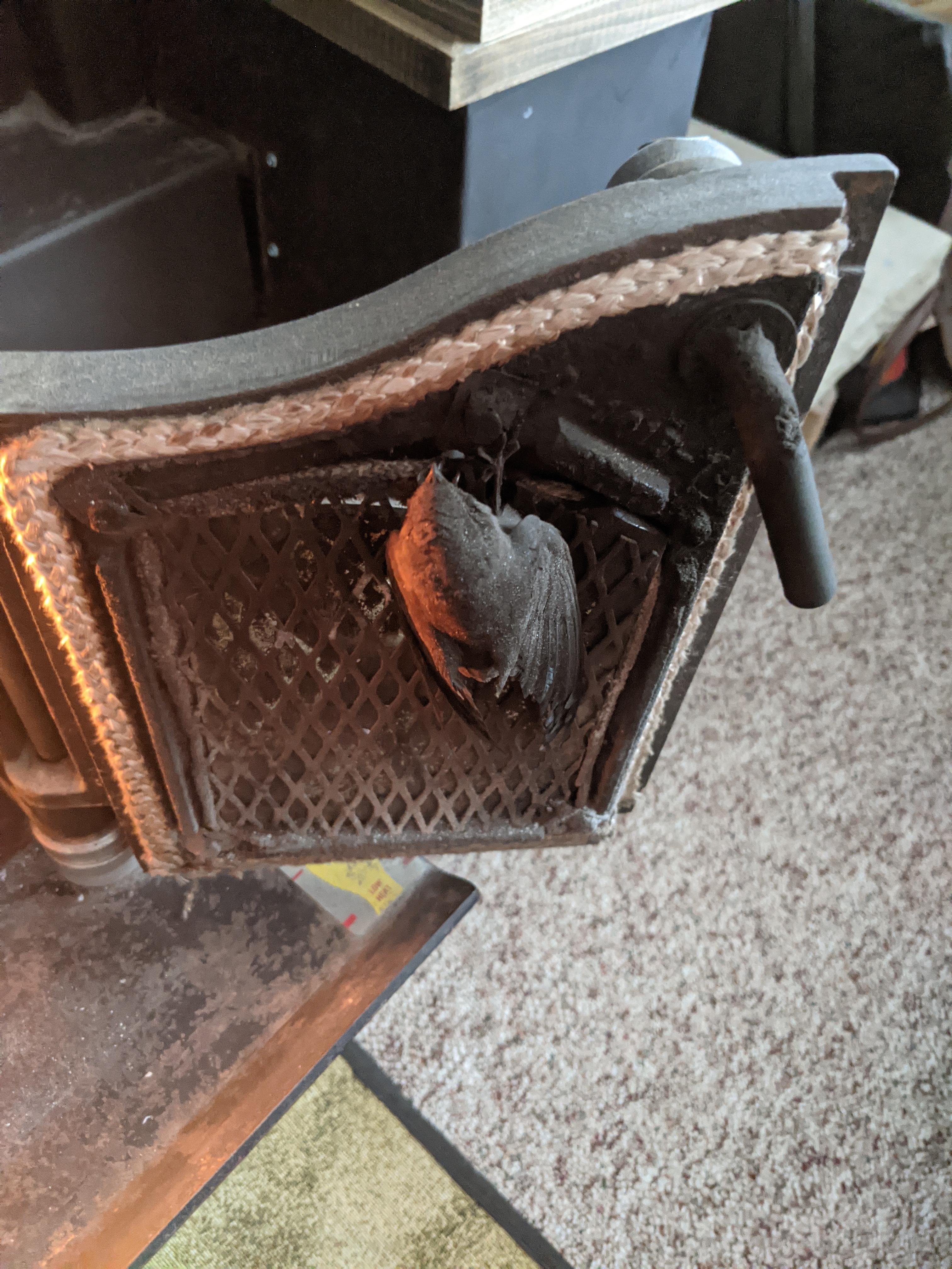A bird I found dead inside my wood burning stove. r/mildlyinteresting