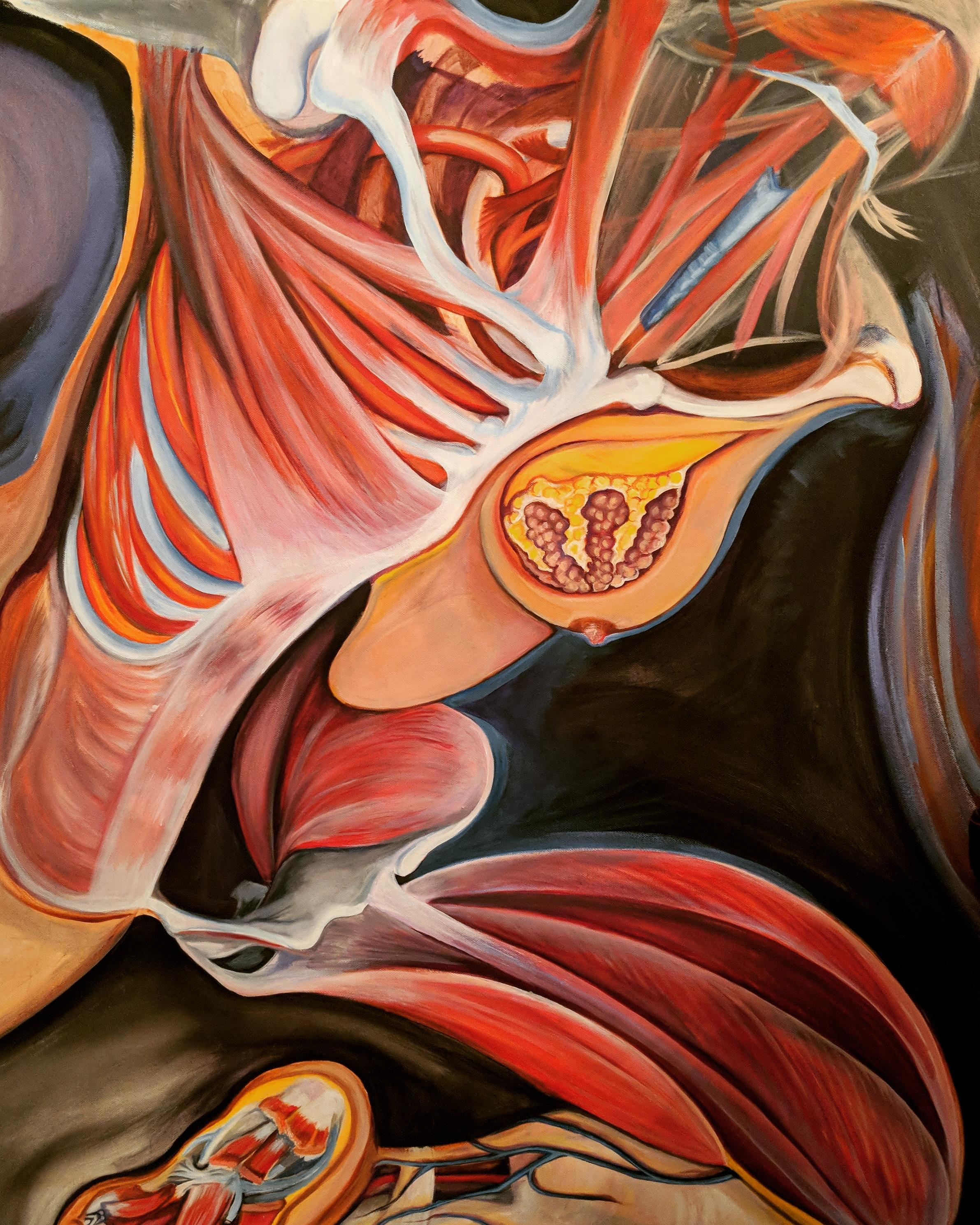 Anatomy + art r/Anatomy