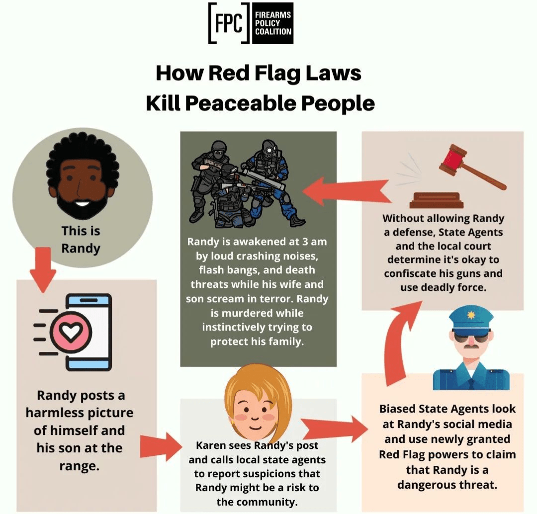 how red flag laws can allow search and seizure of someone's place without a warrant coolguides