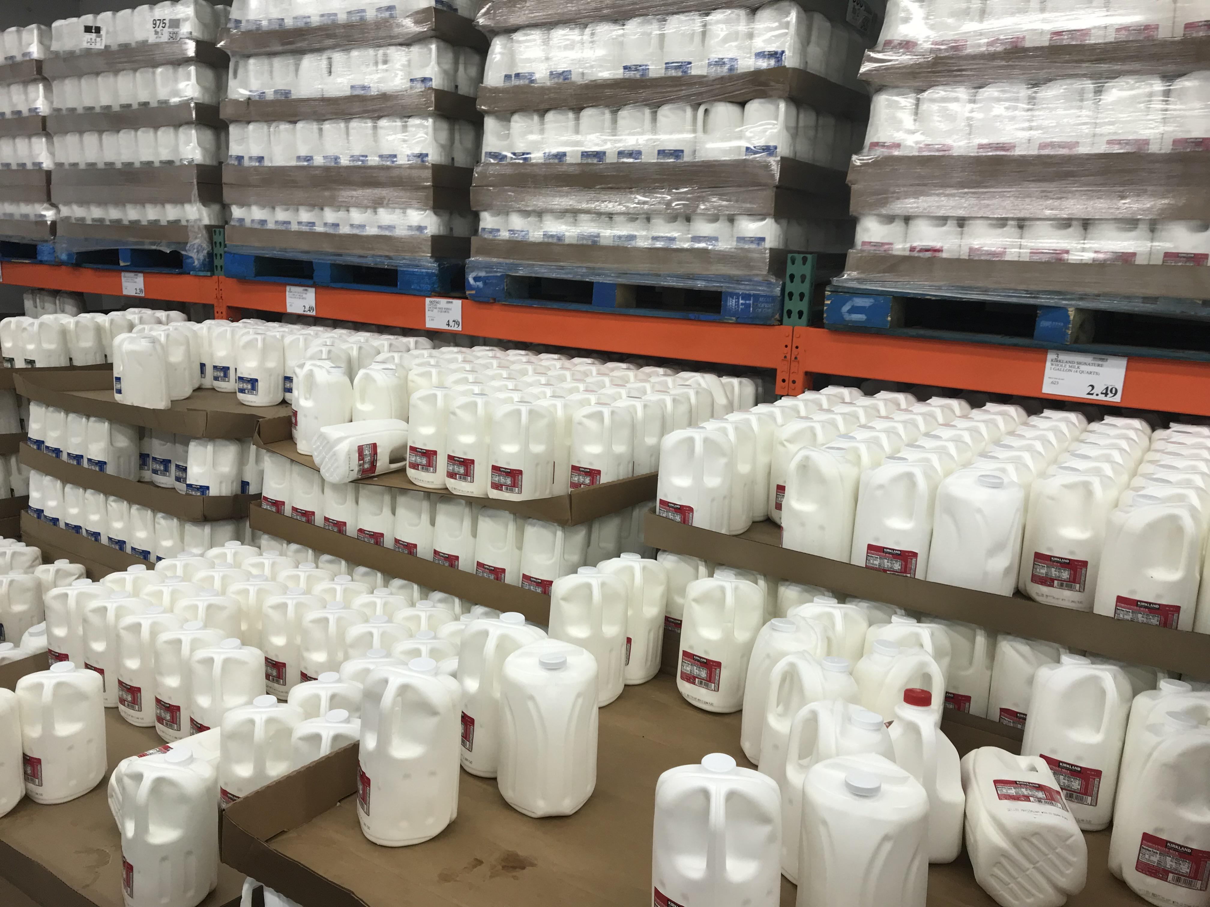 The promised land r/Neverbrokeabone