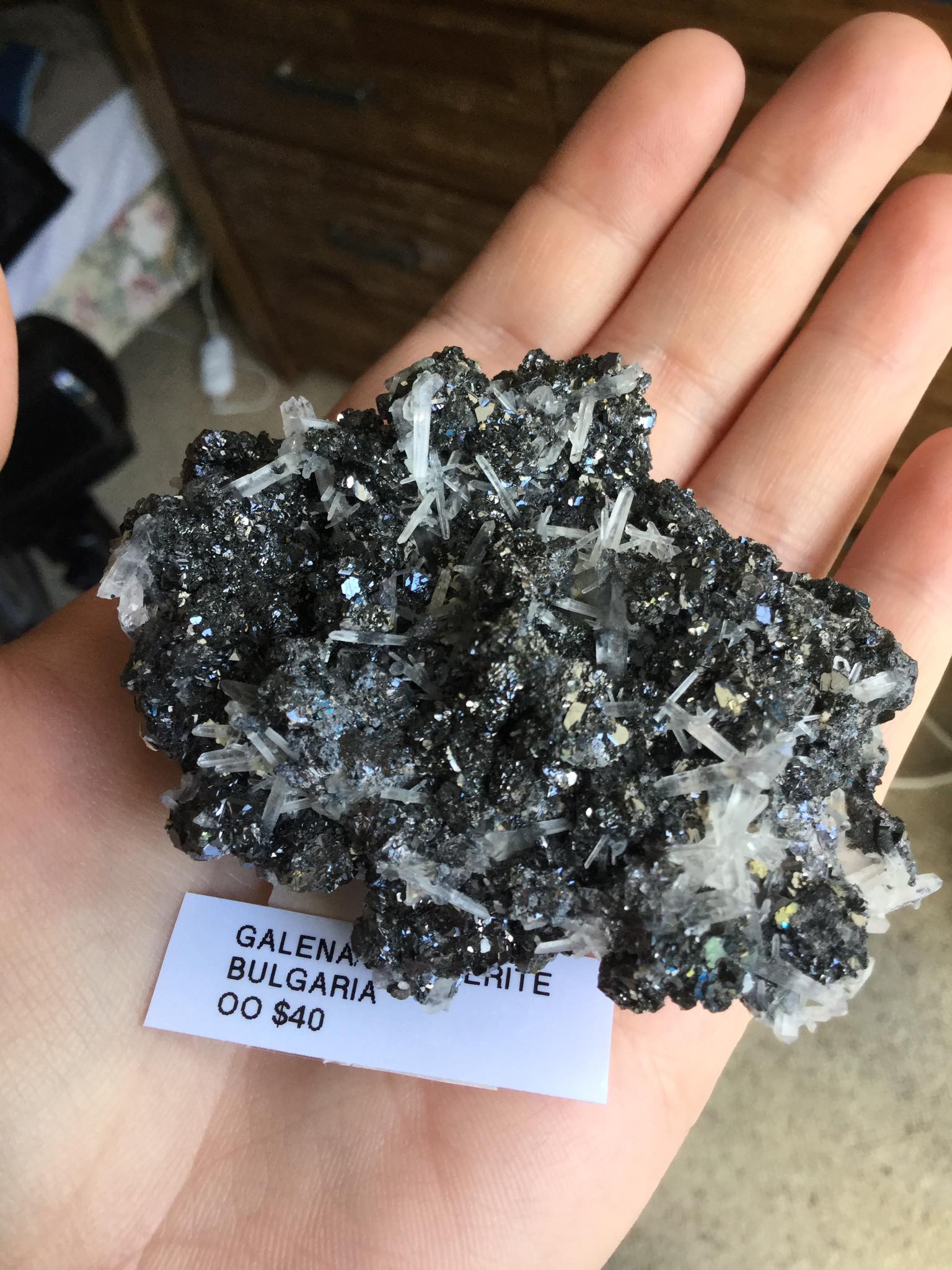 Galena with Sphalerite, the newest acquisition. Adding to the dangerous