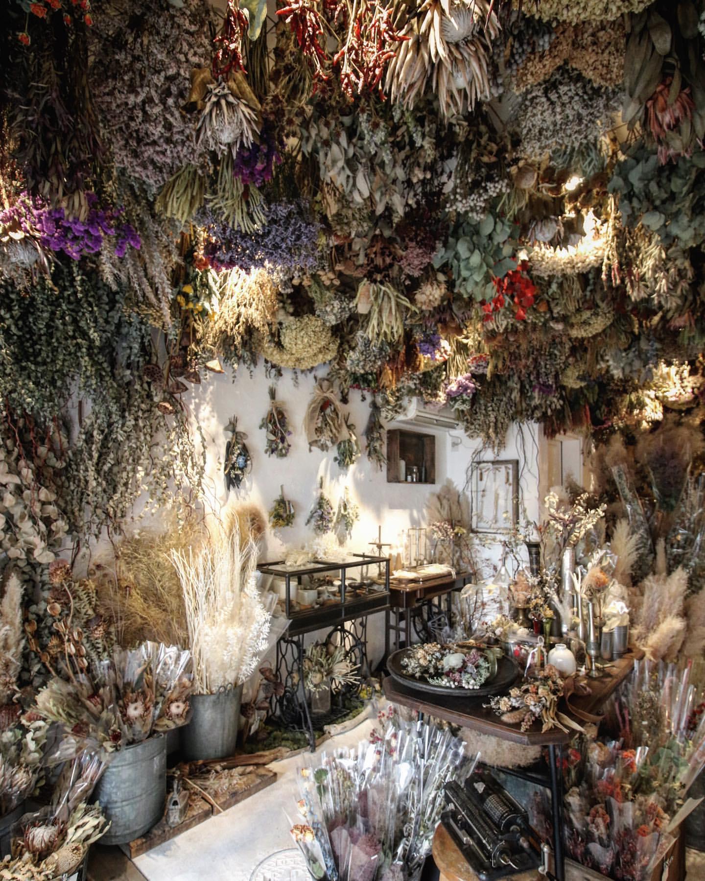 Cachette, a dried flower shop/cafe located in Kyoto, Japan. (1440x1799