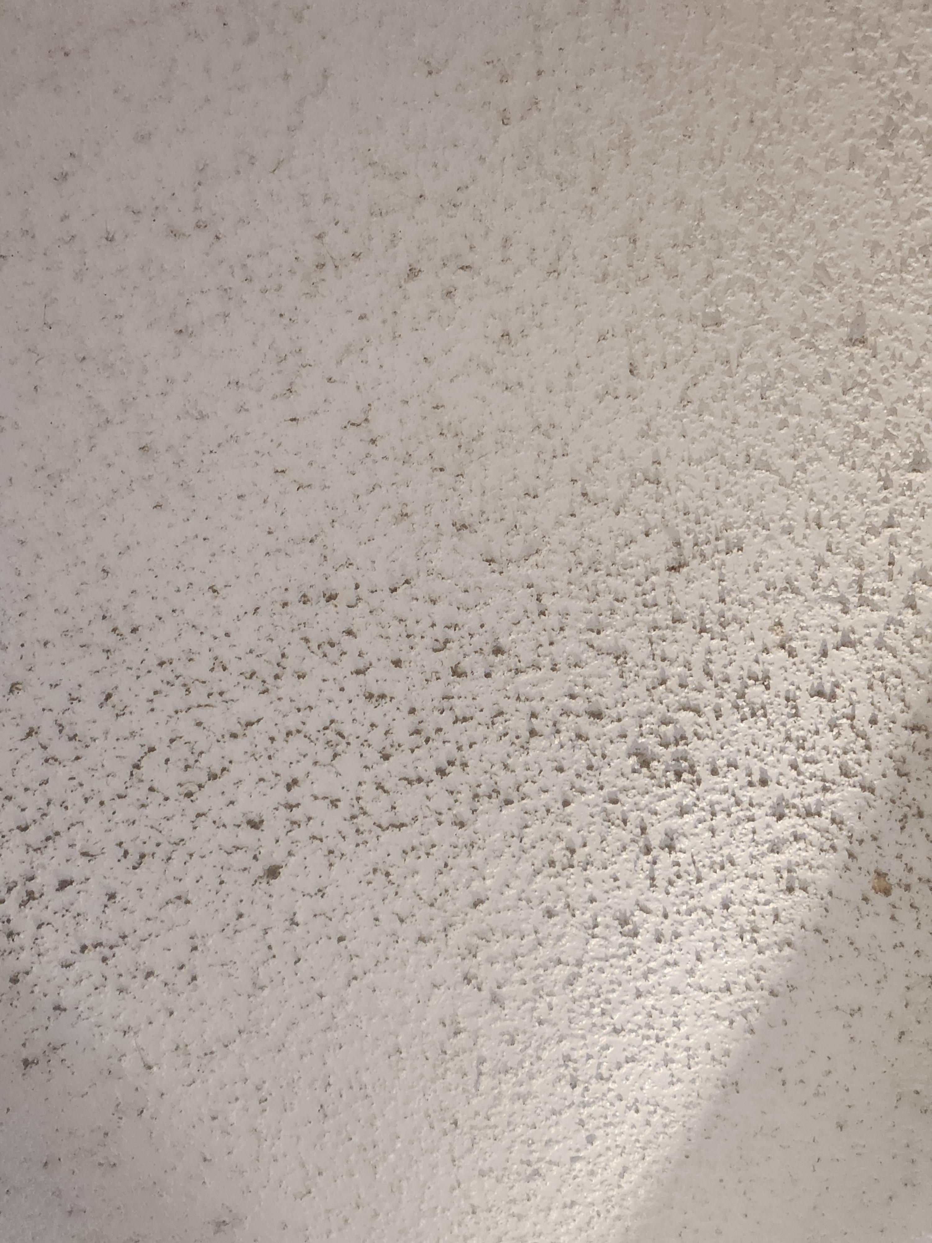 best way to clean off dust from ceiling fan? : r/CleaningTips