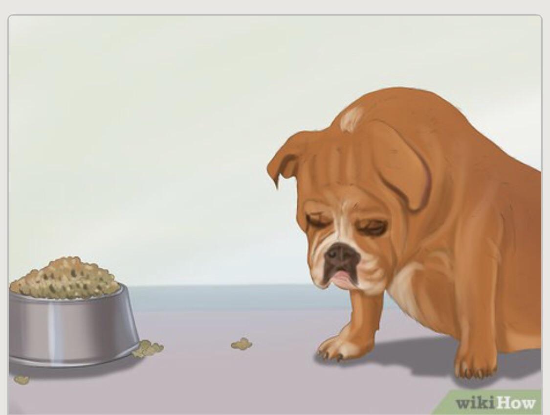 How to cope with the fact that selective breeding has made you