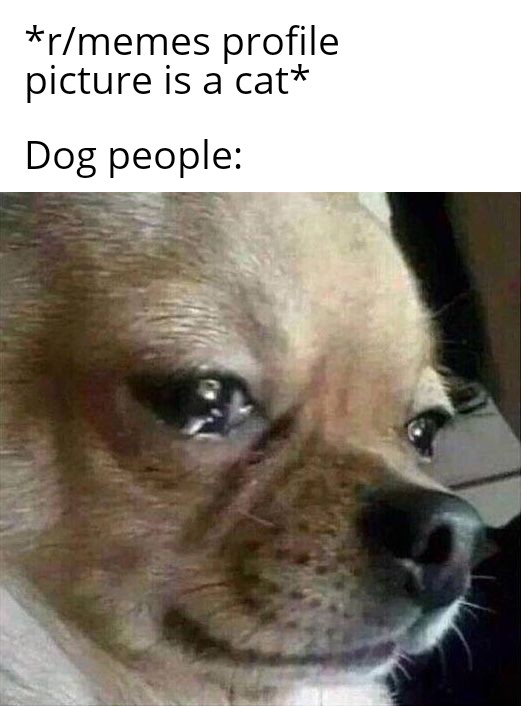 Dog Sad Face Meme atelieryuwa.ciao.jp