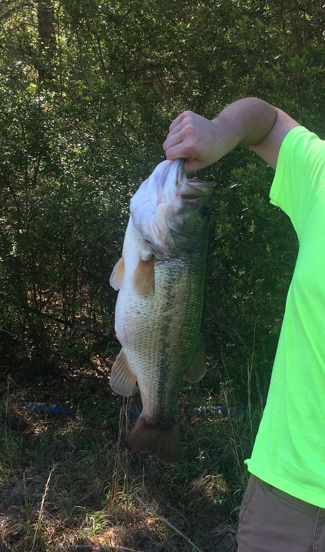 June Smallmouth Bass How To Fish The 3 Stages Game Fish