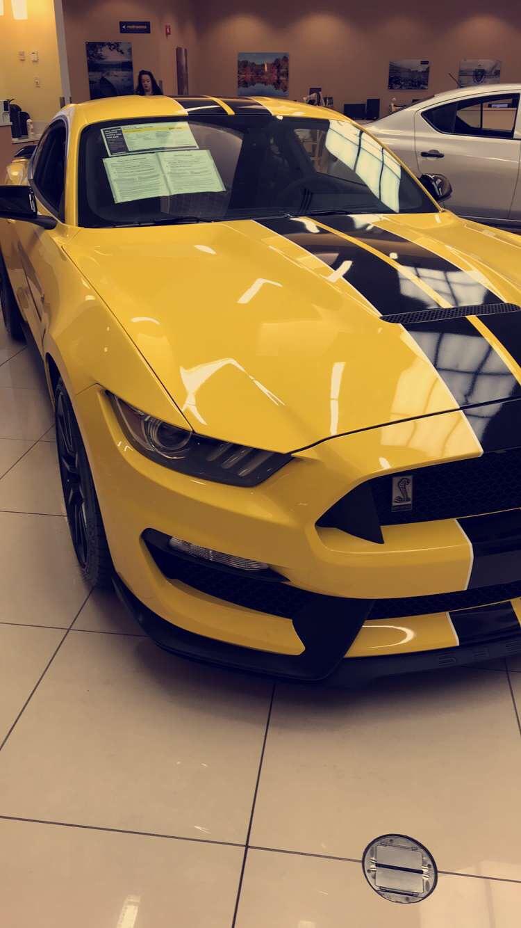This beautiful 2015 GT350 at CarMax. r/Mustang