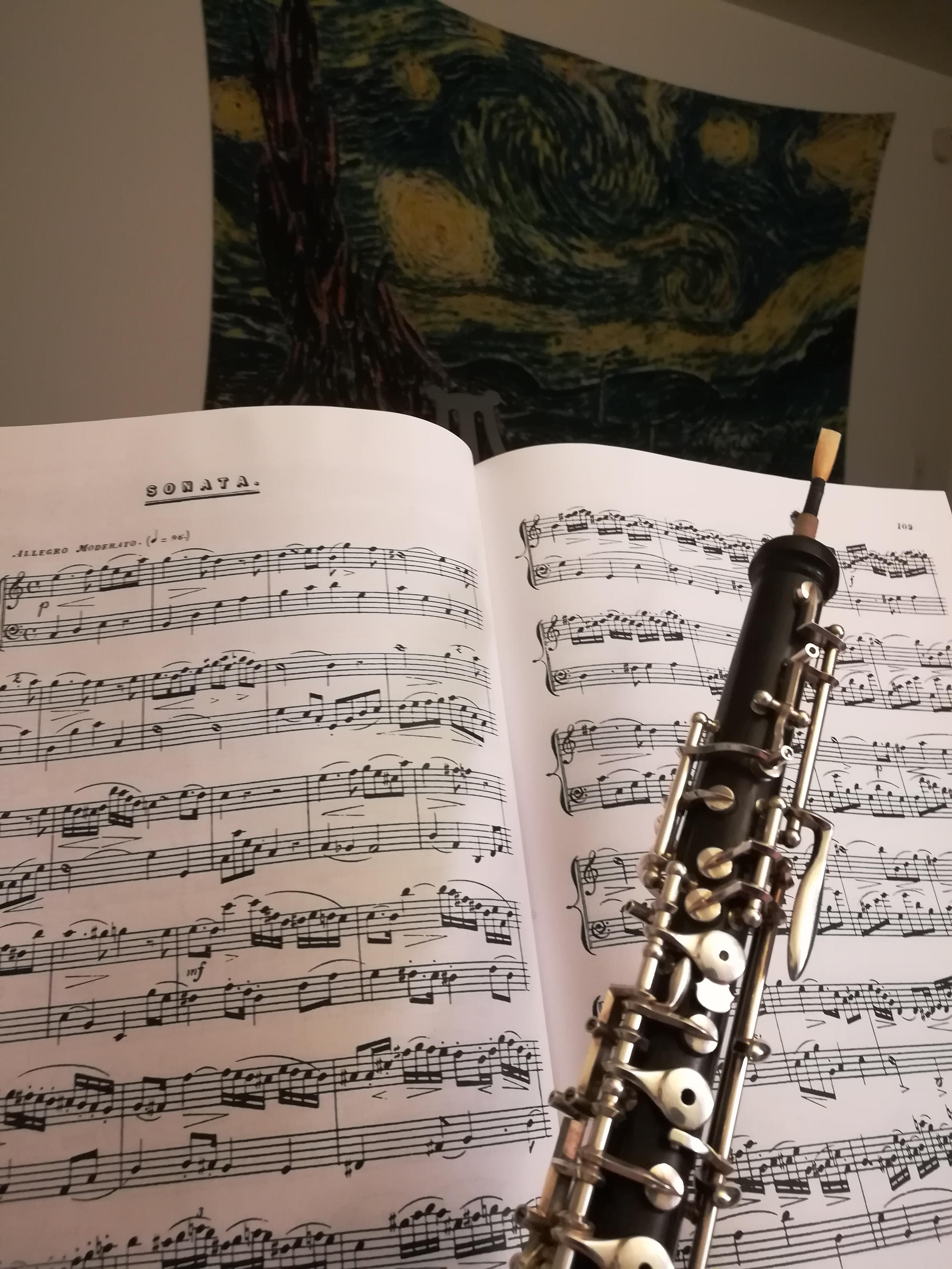 I'm just about to graduate and have had the dream of my own oboe studio