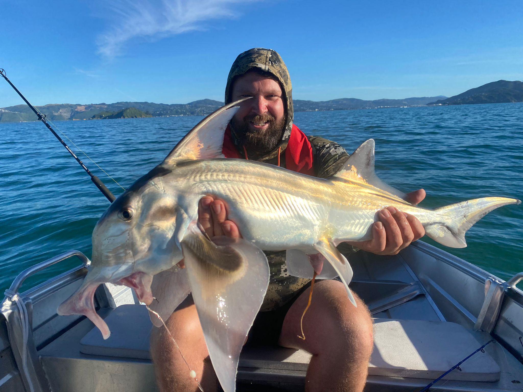 First fish of the year! elephant fish, Wellington Harbour, NZ r/Fishing
