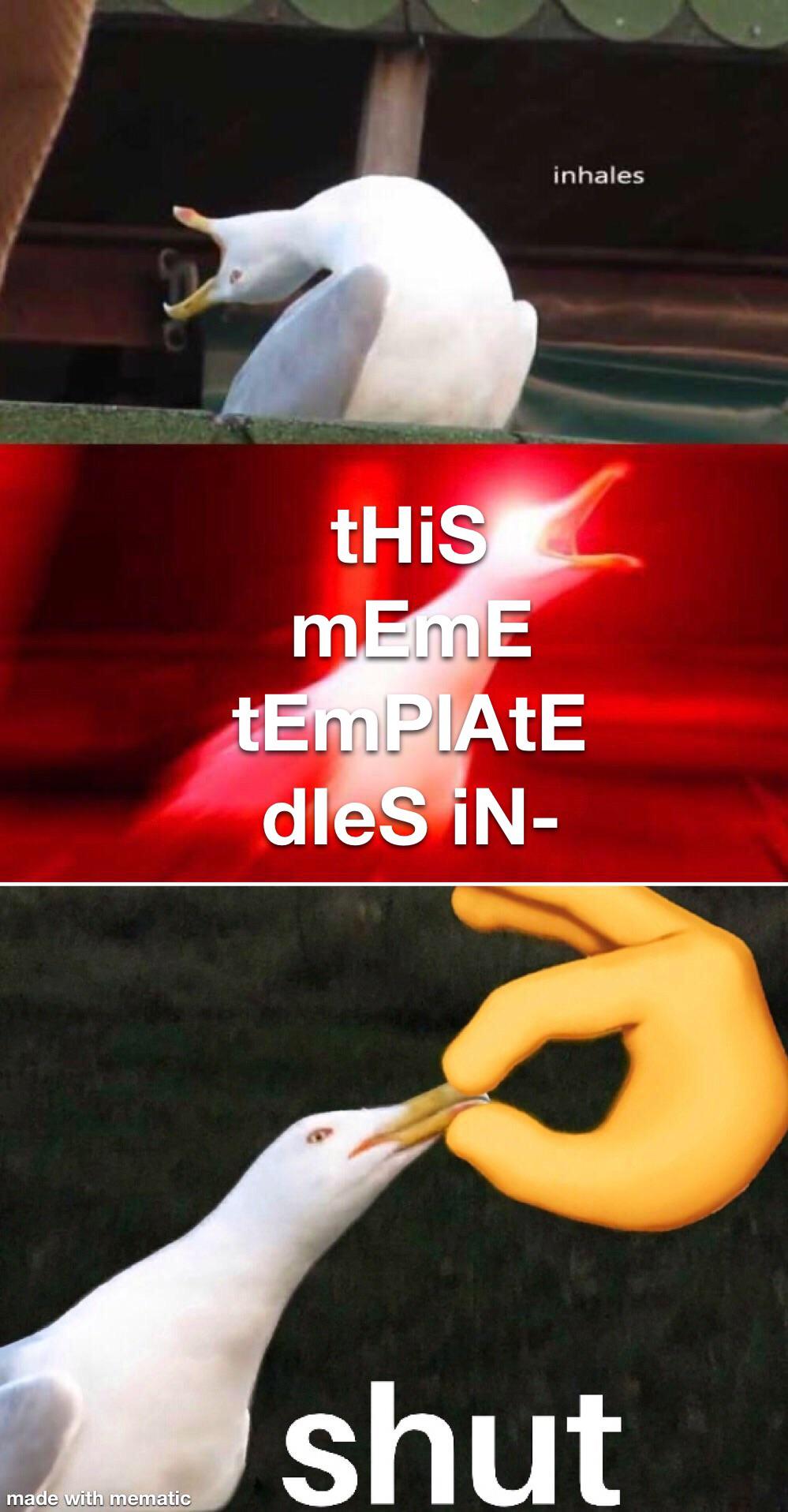 Seriously, shut up. memes