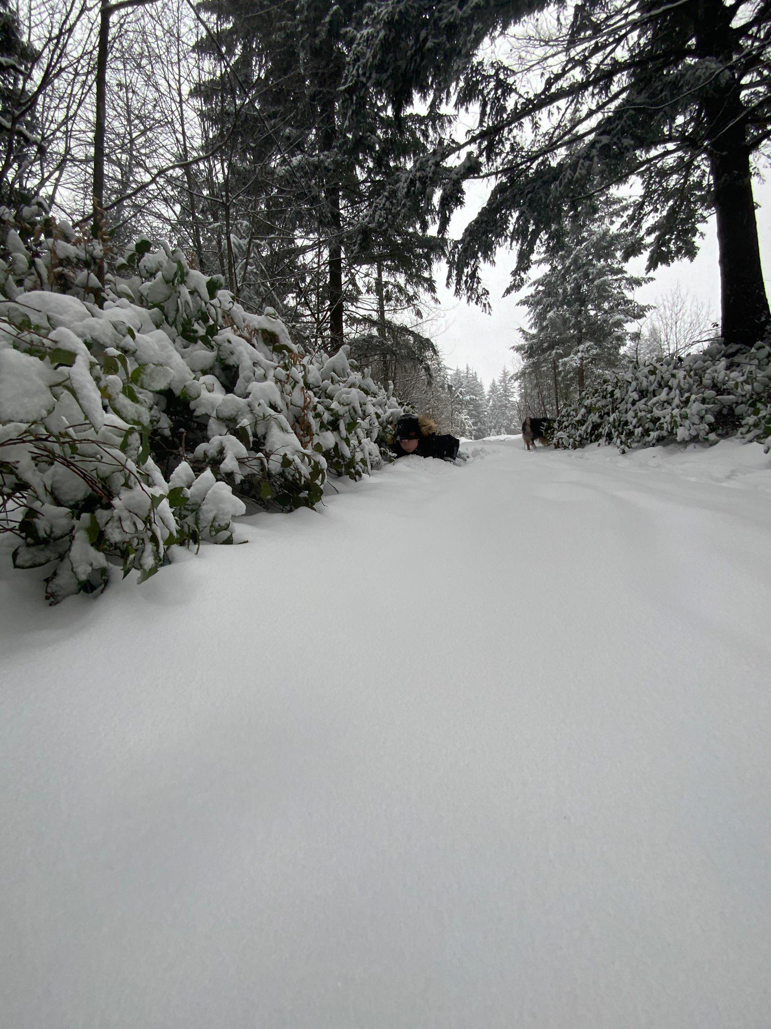 Larch Mountain, Brush Prairie Wa r/vancouverwa
