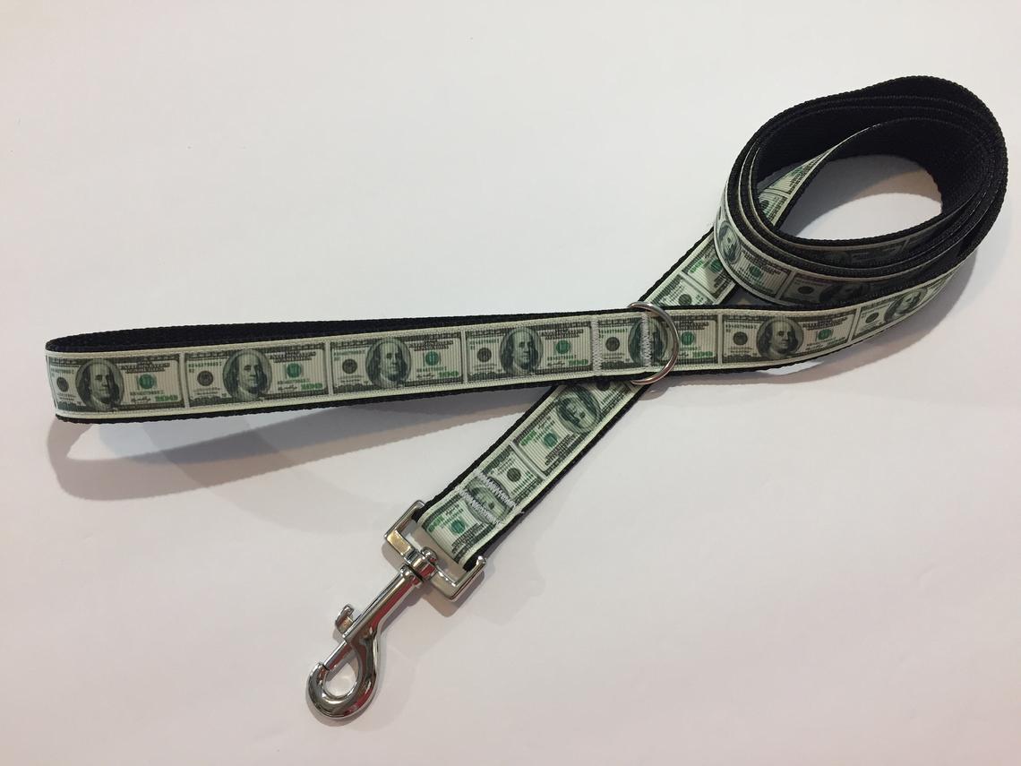 Okay People, What does every dog owner have? A LEASH! Now I get why I was so compelled to buy a