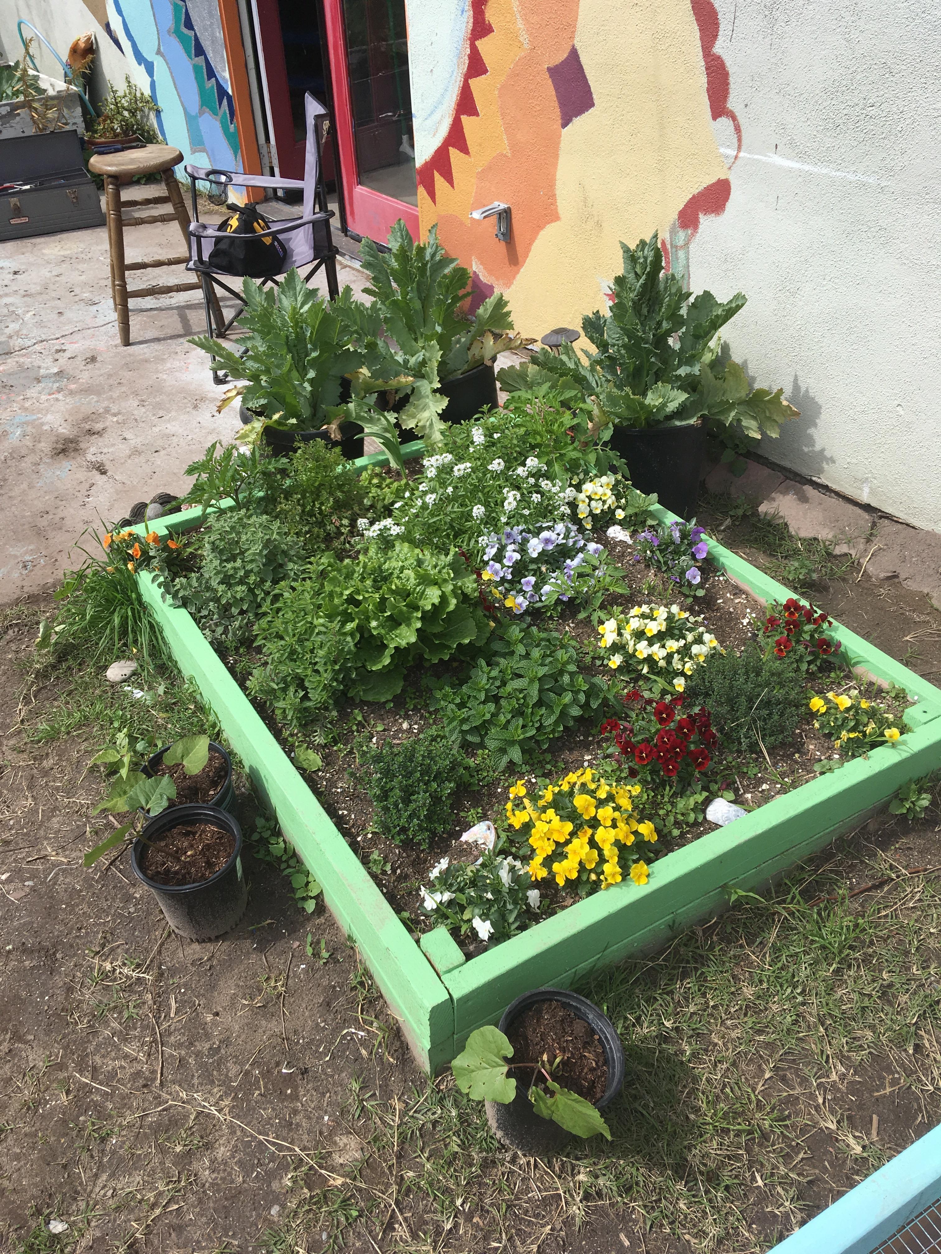 My Flower/Herb Bed r/gardening