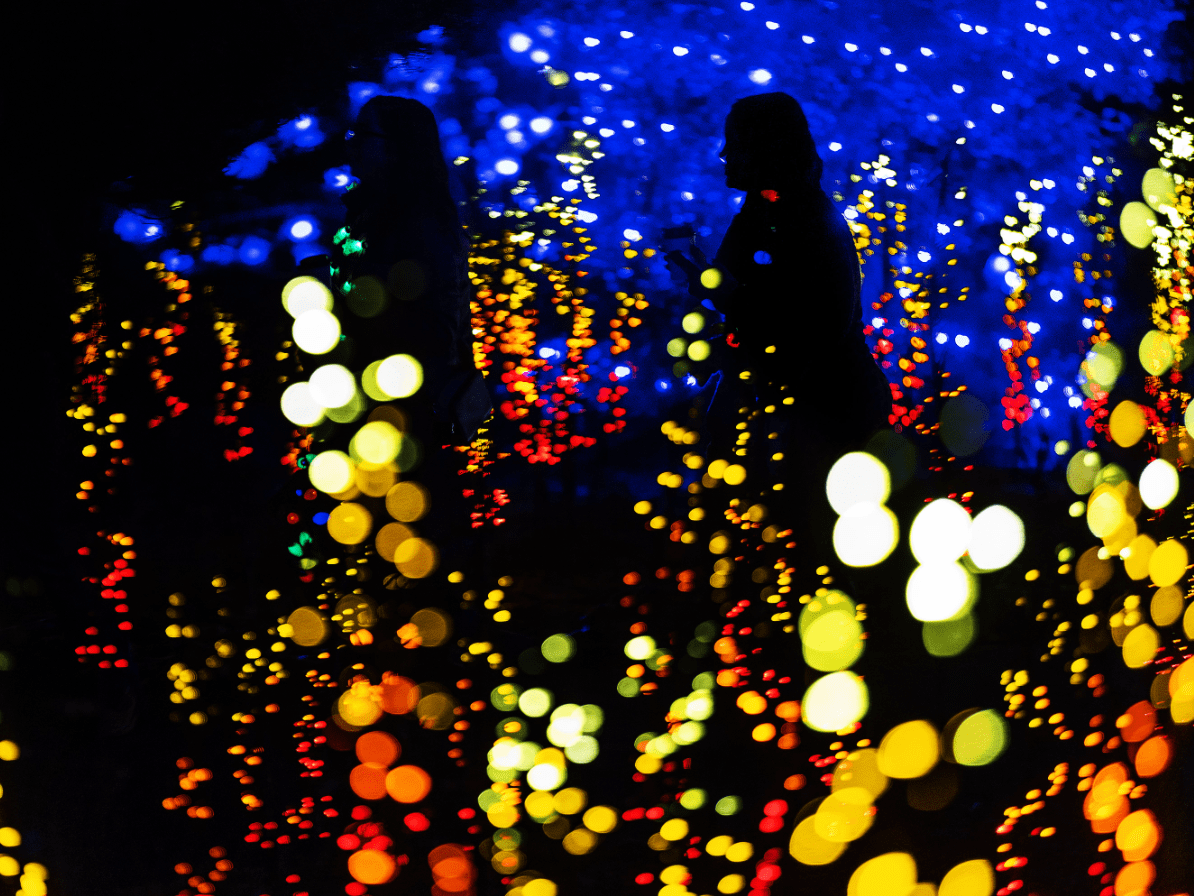 "Gardens Aglow" light displays at the Heritage Museum and Gardens in