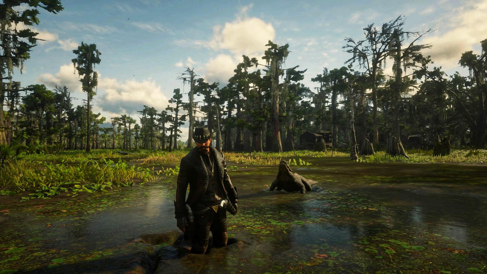 The look a gator gives you when it sees today's dailys