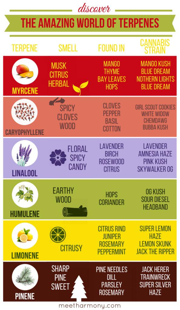 A very cool chart of different types of TERPENES r/weed
