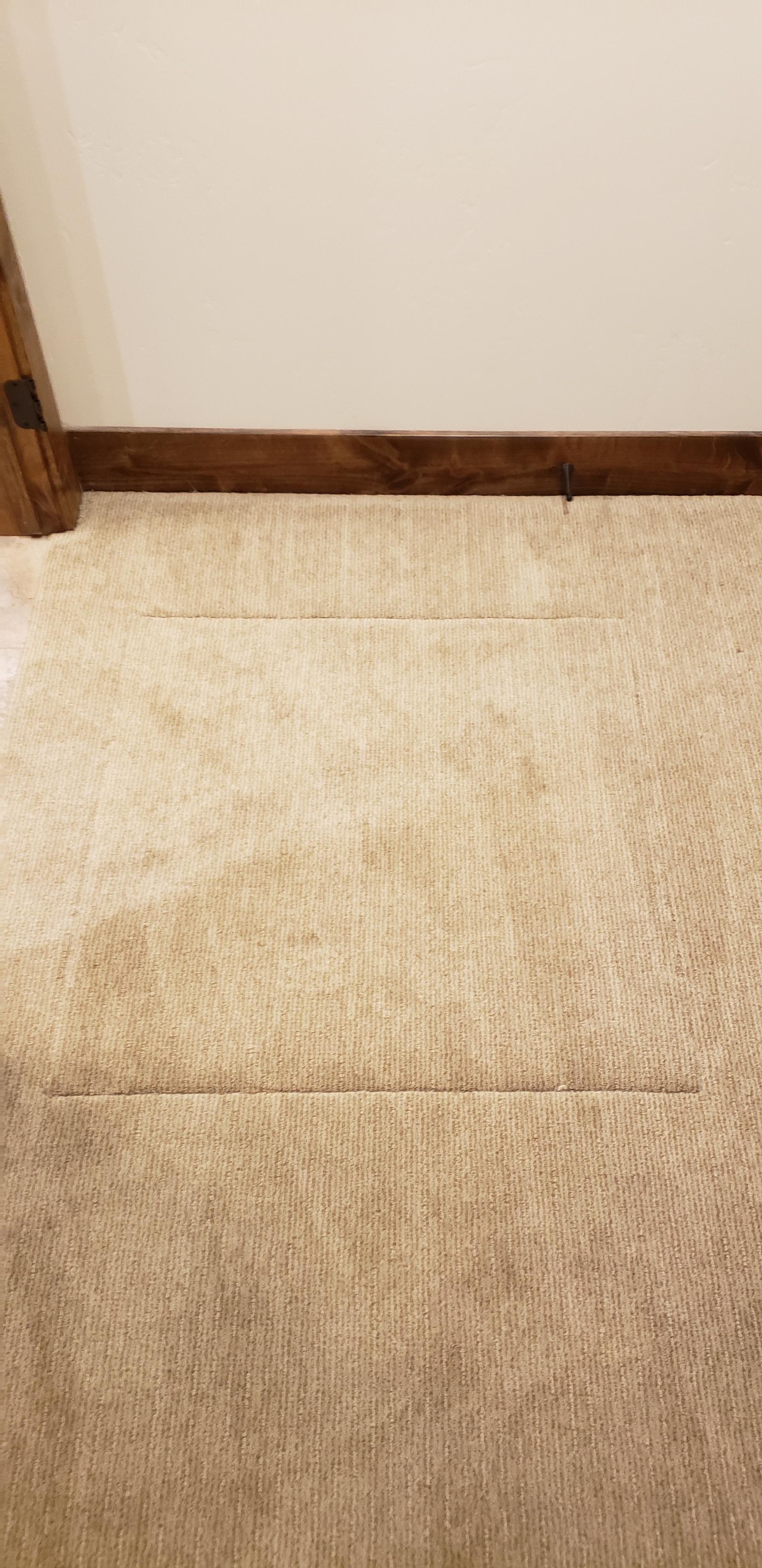 Sleek carpet trap door r/carpet