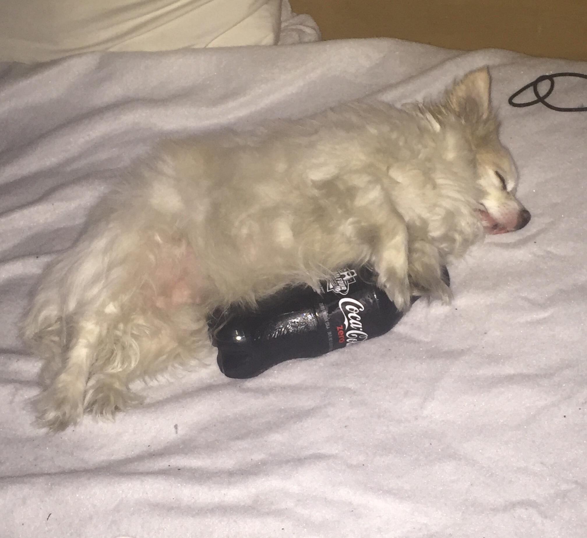 Alaska air conditioning r/alaska