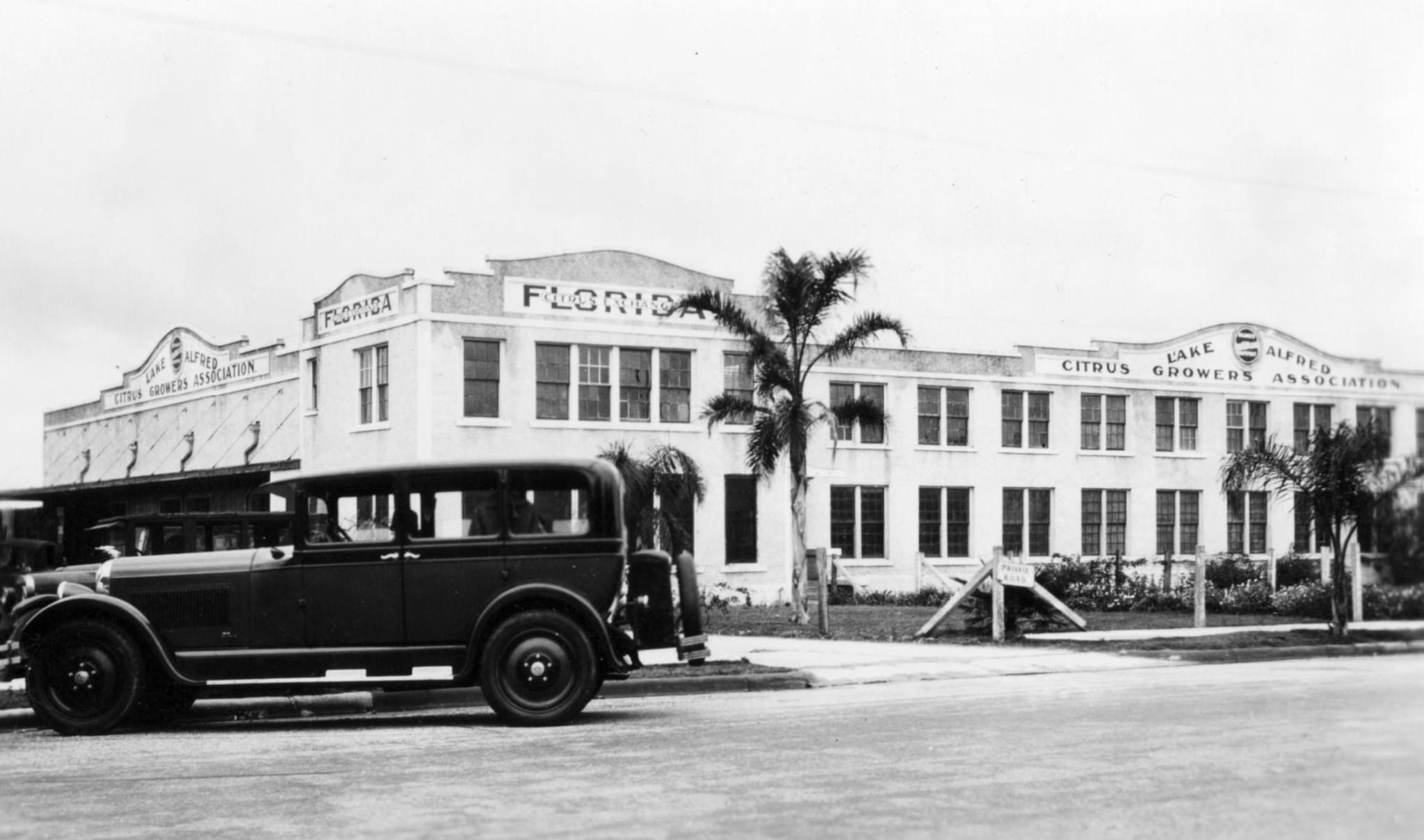 Citrus Packing Plant, Lake Alfred, Florida. 1934. From the McKay