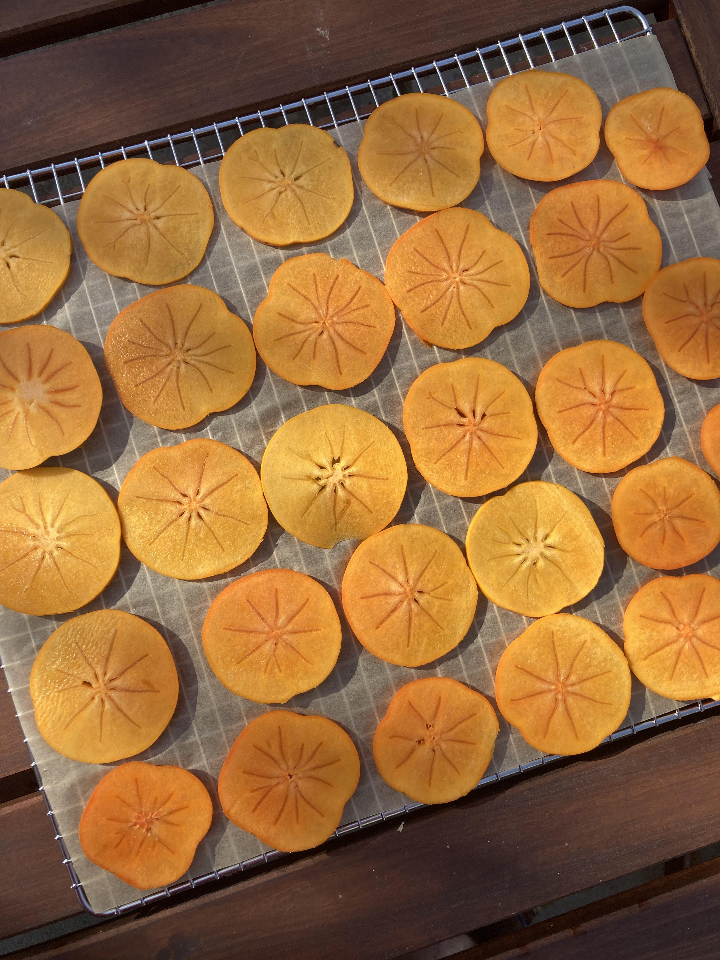 Finally! Tray 5 filled! First time dehydrating and so happy this years