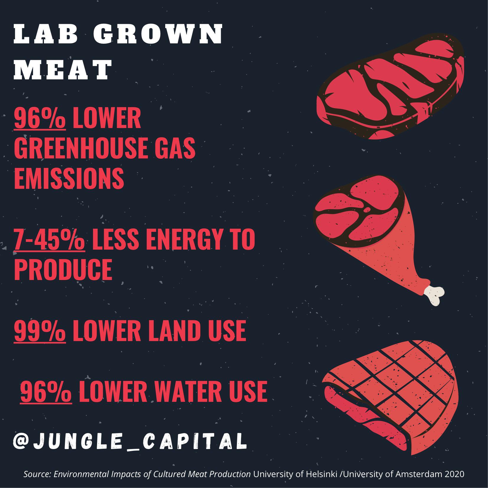 Lab Grown Meat r/sustainability