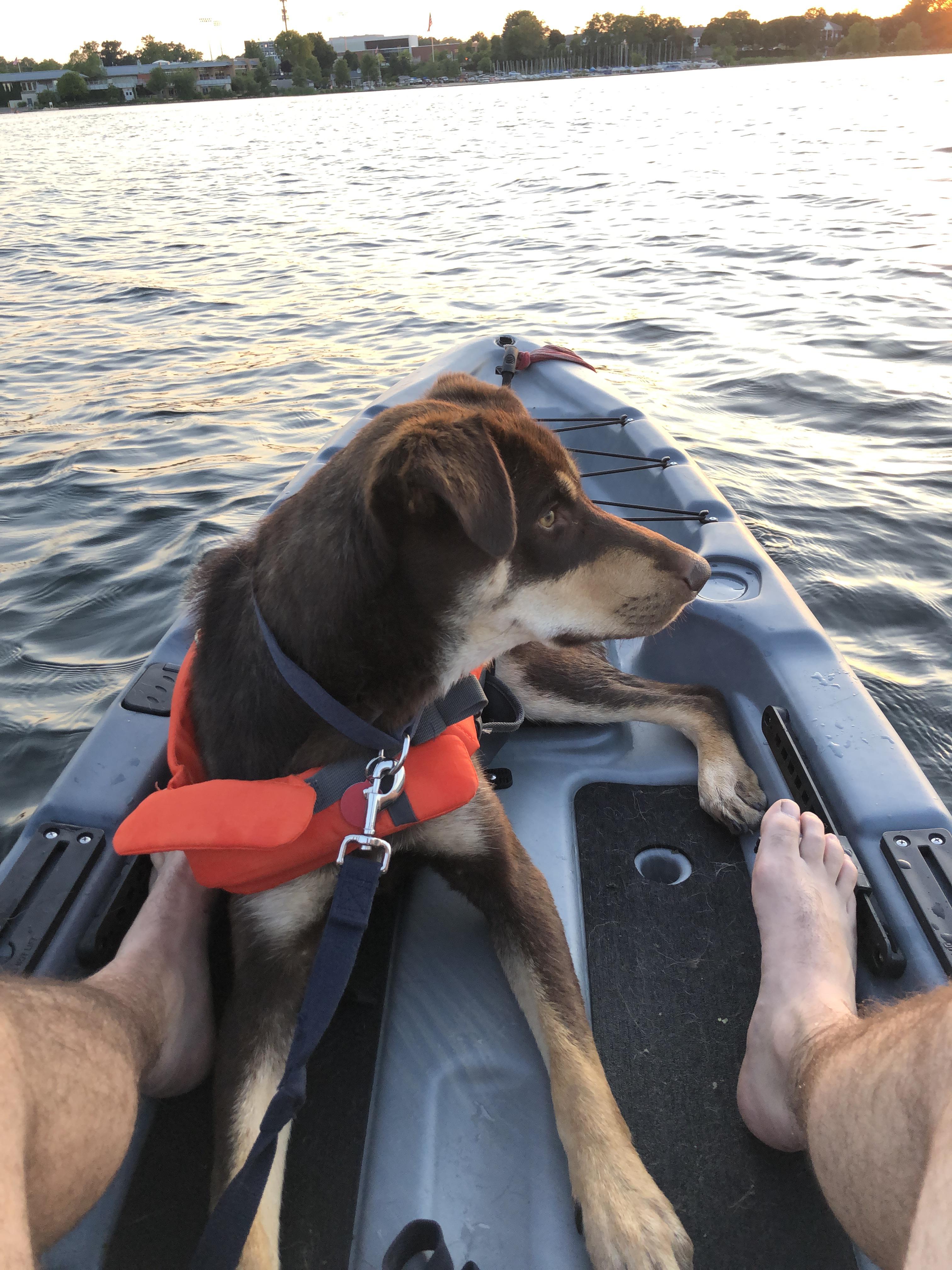 My kayaking buddy. r/Kayaking