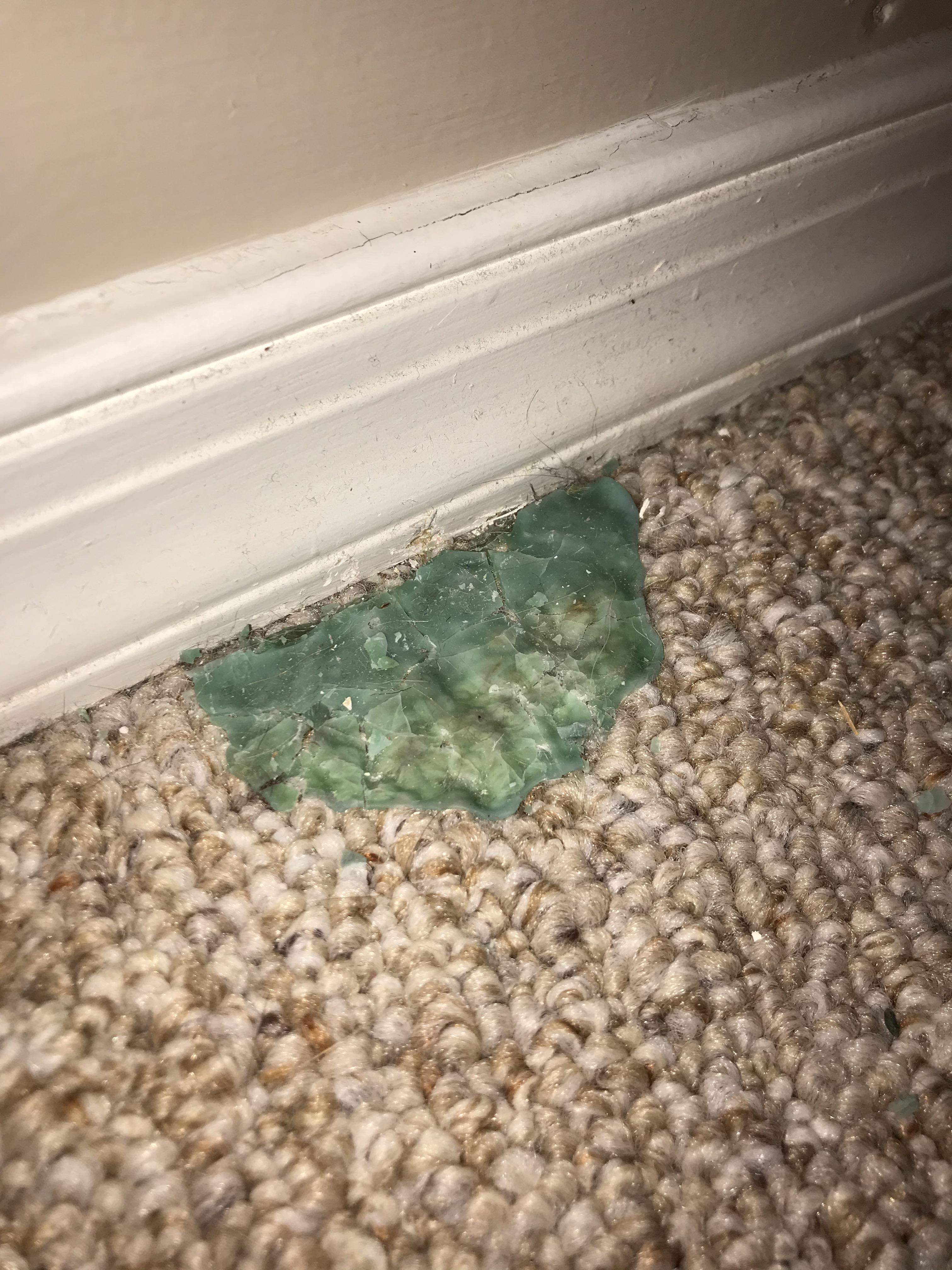 Just discovered possibly 4 year old dried slime dried to the carpet
