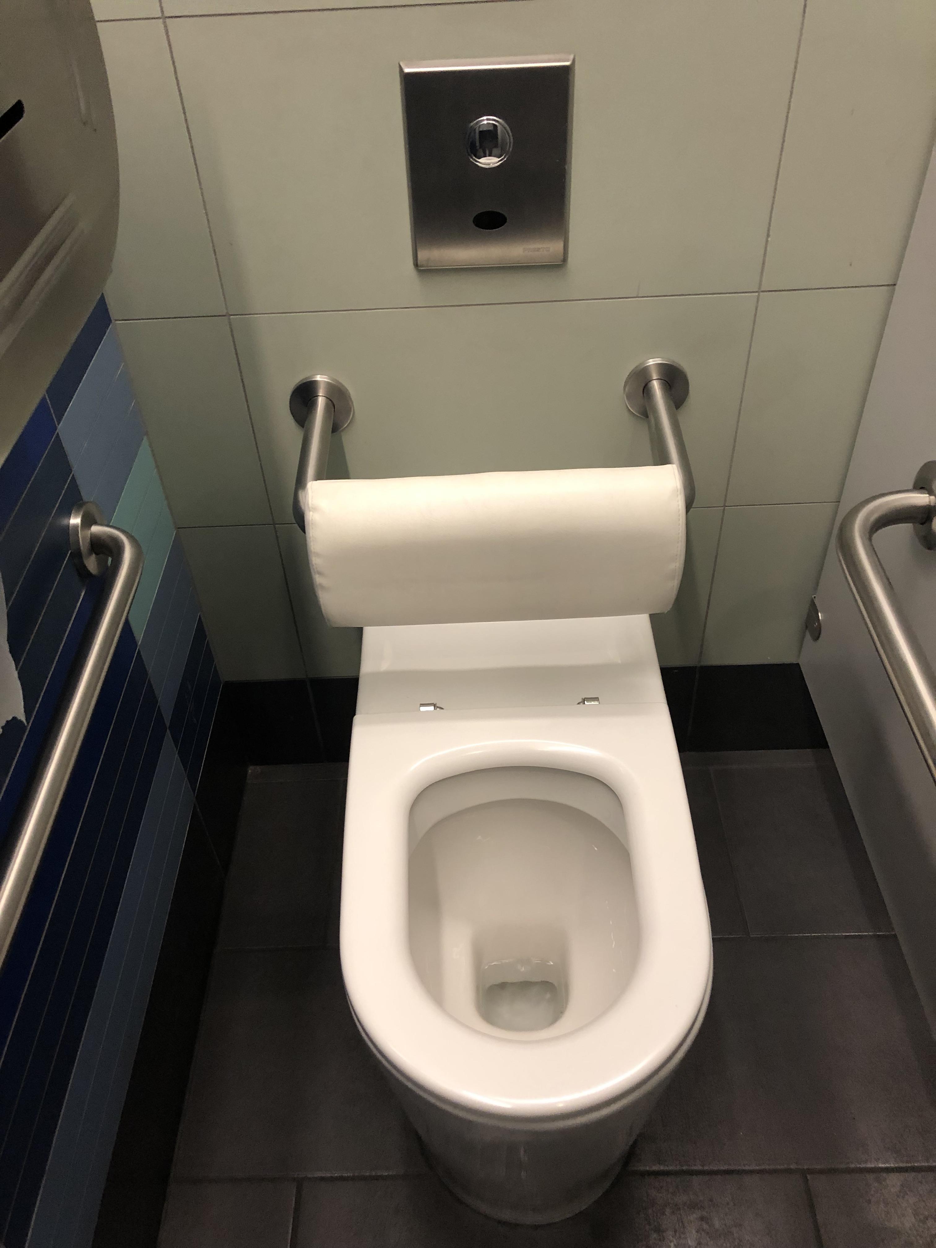 The toilets in the Dublin Airport have backrests r/mildlyinteresting