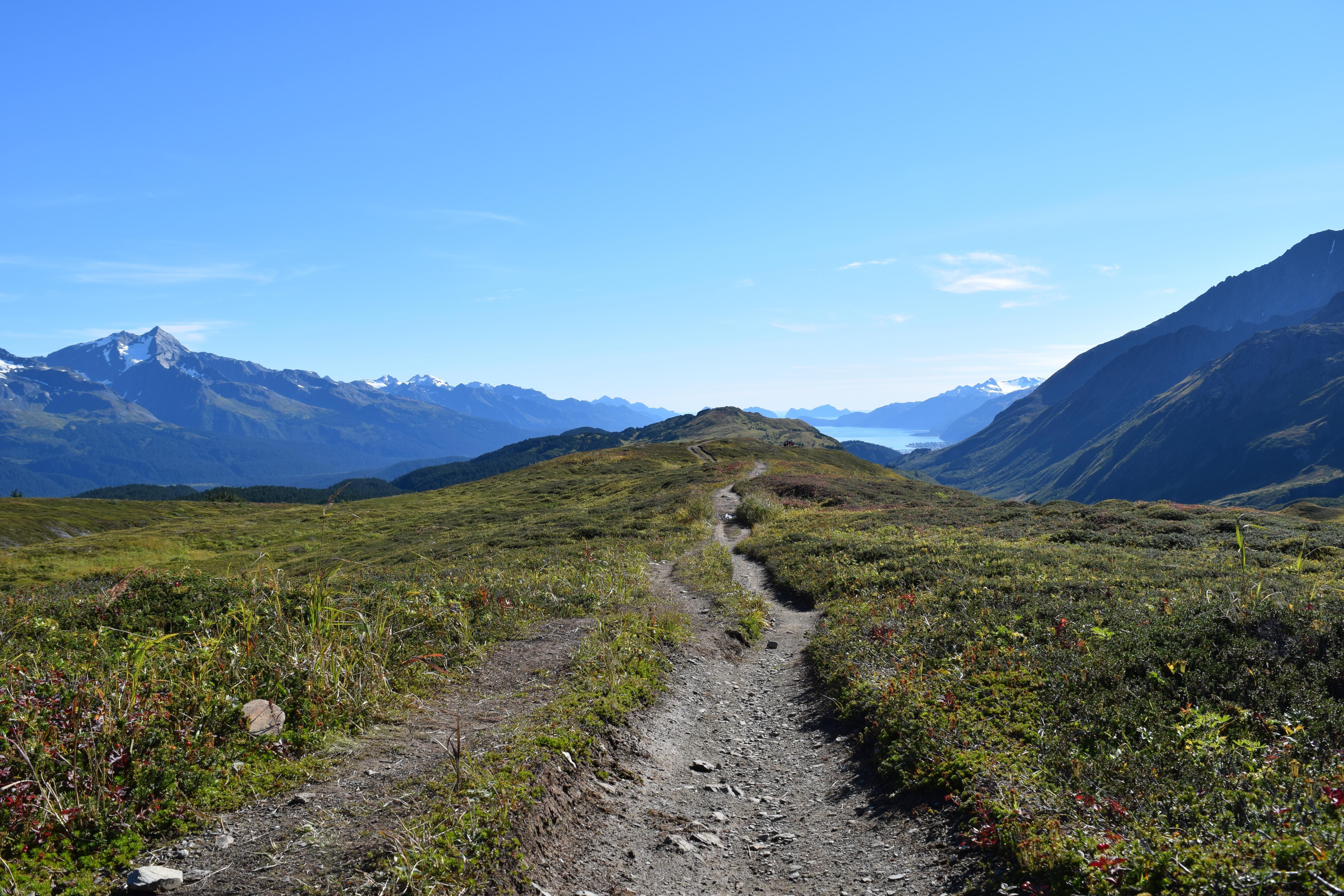 Lost Lake Trail, Seward, AK [OC] [6000x4000] r/EarthPorn