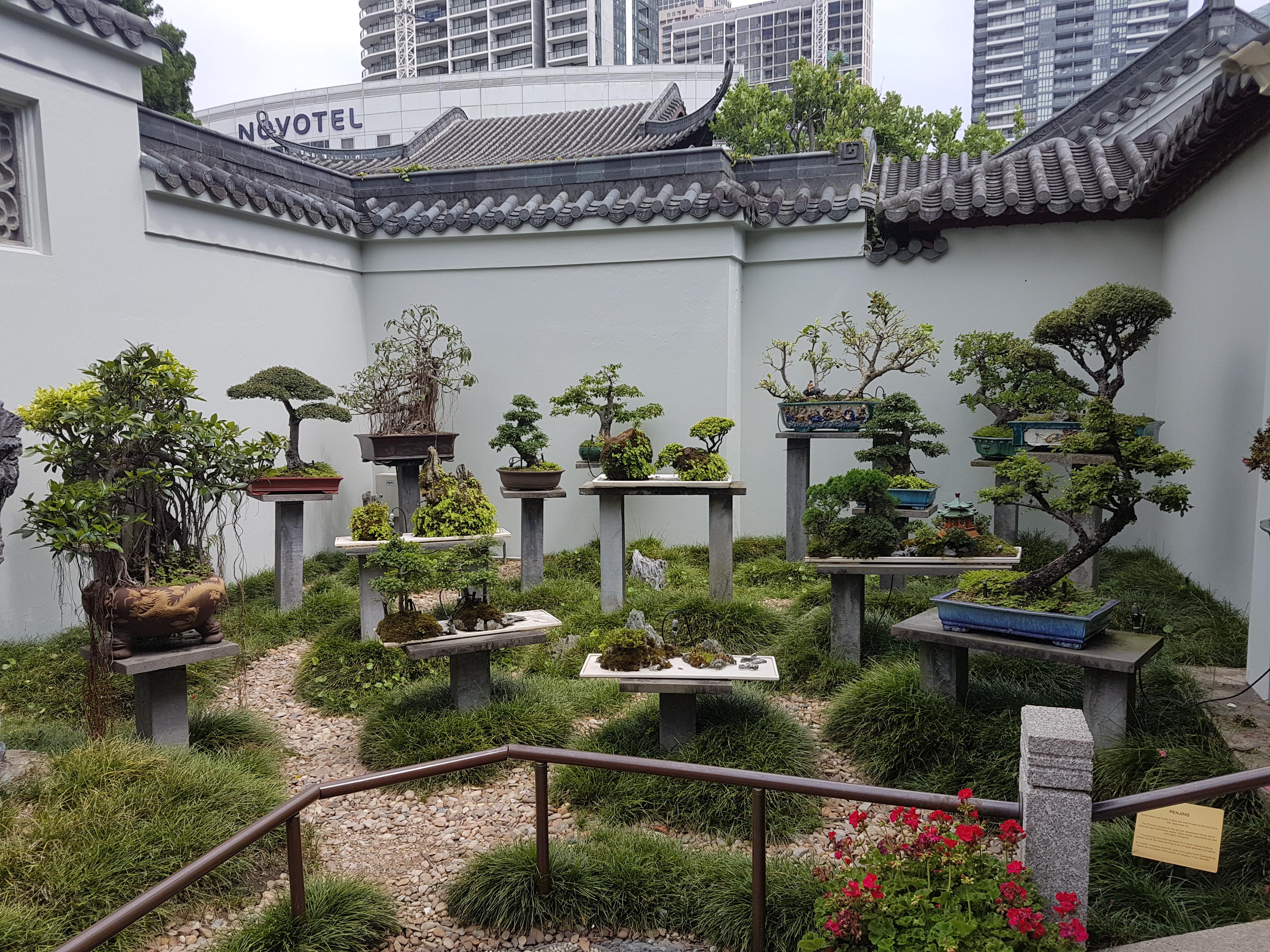 Collection of Bonsai Trees in the Chinese Garden of Friendship r/Bonsai