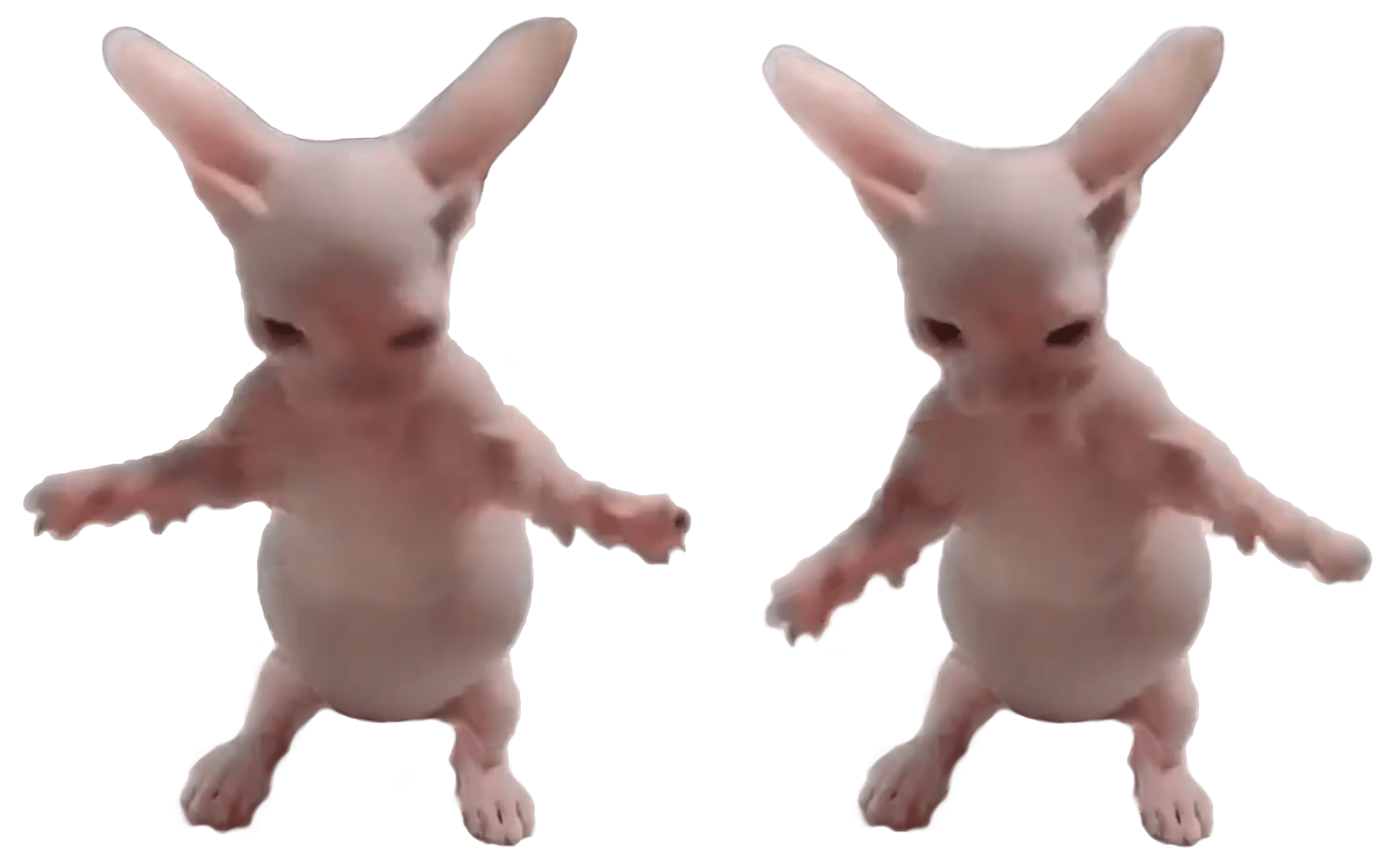 Baby Bingus PNG for your editing needs : bingus