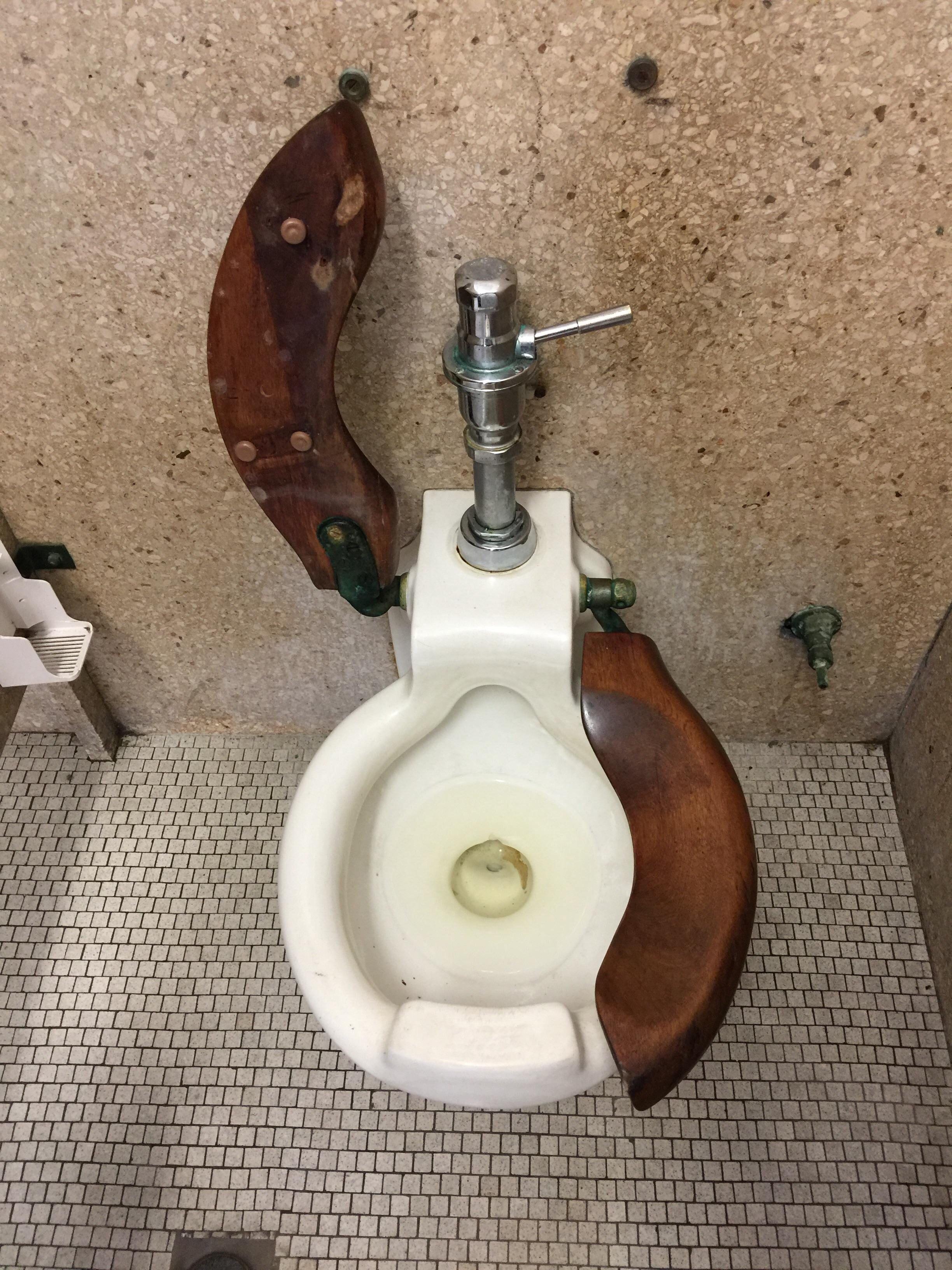 The toilet seat in the old part of my hospital. There is a stall that