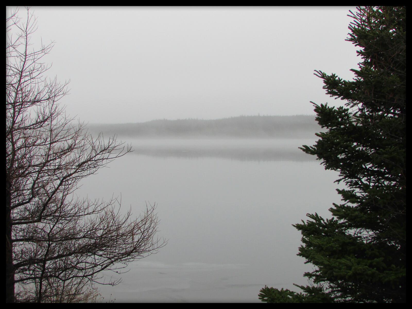 Blaketown r/newfoundland