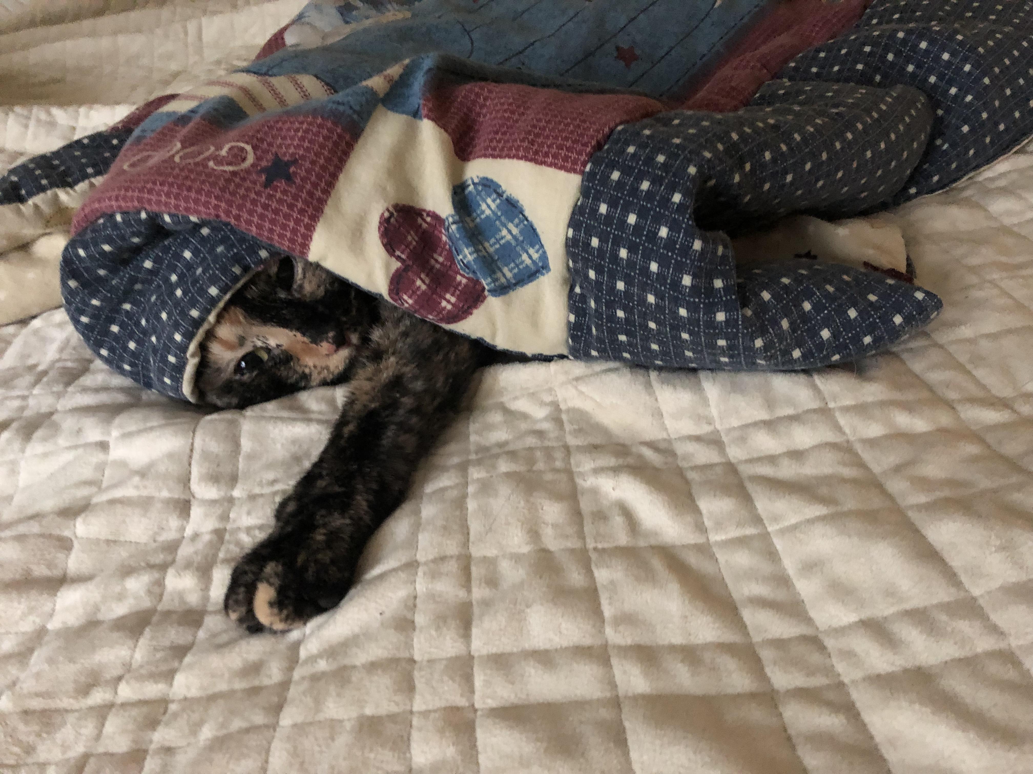 If I don’t give her her own blanket she crawls deep under the comforter
