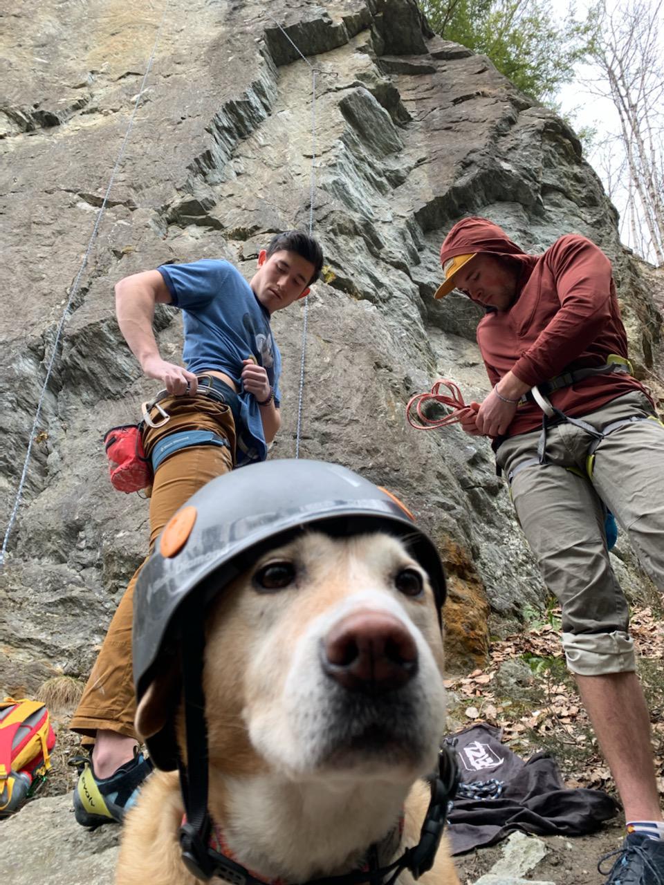 Safe is sexy! r/climbing