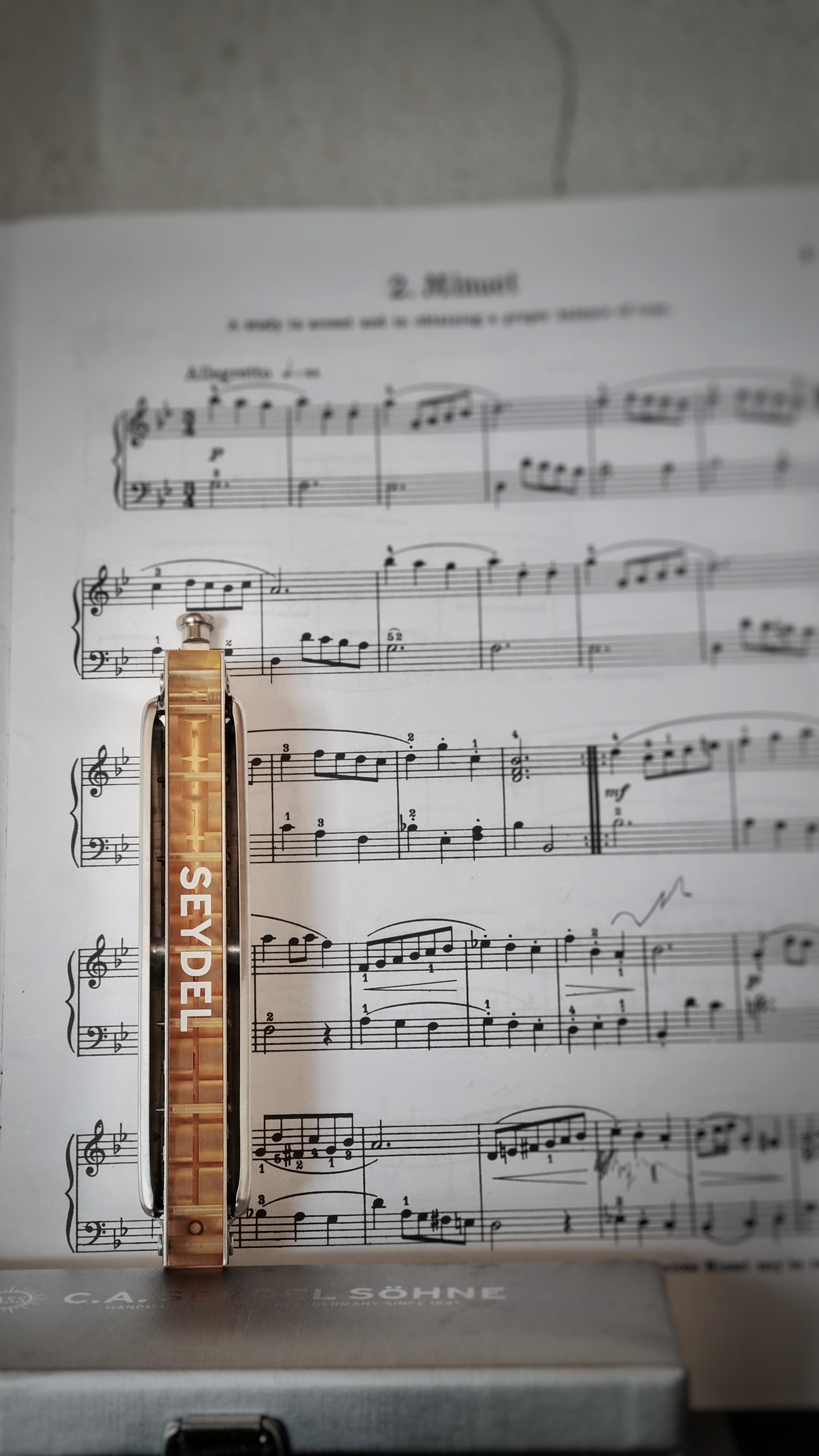 What is your view on the chromatic harmonica as a soloist instrument in classical music? r