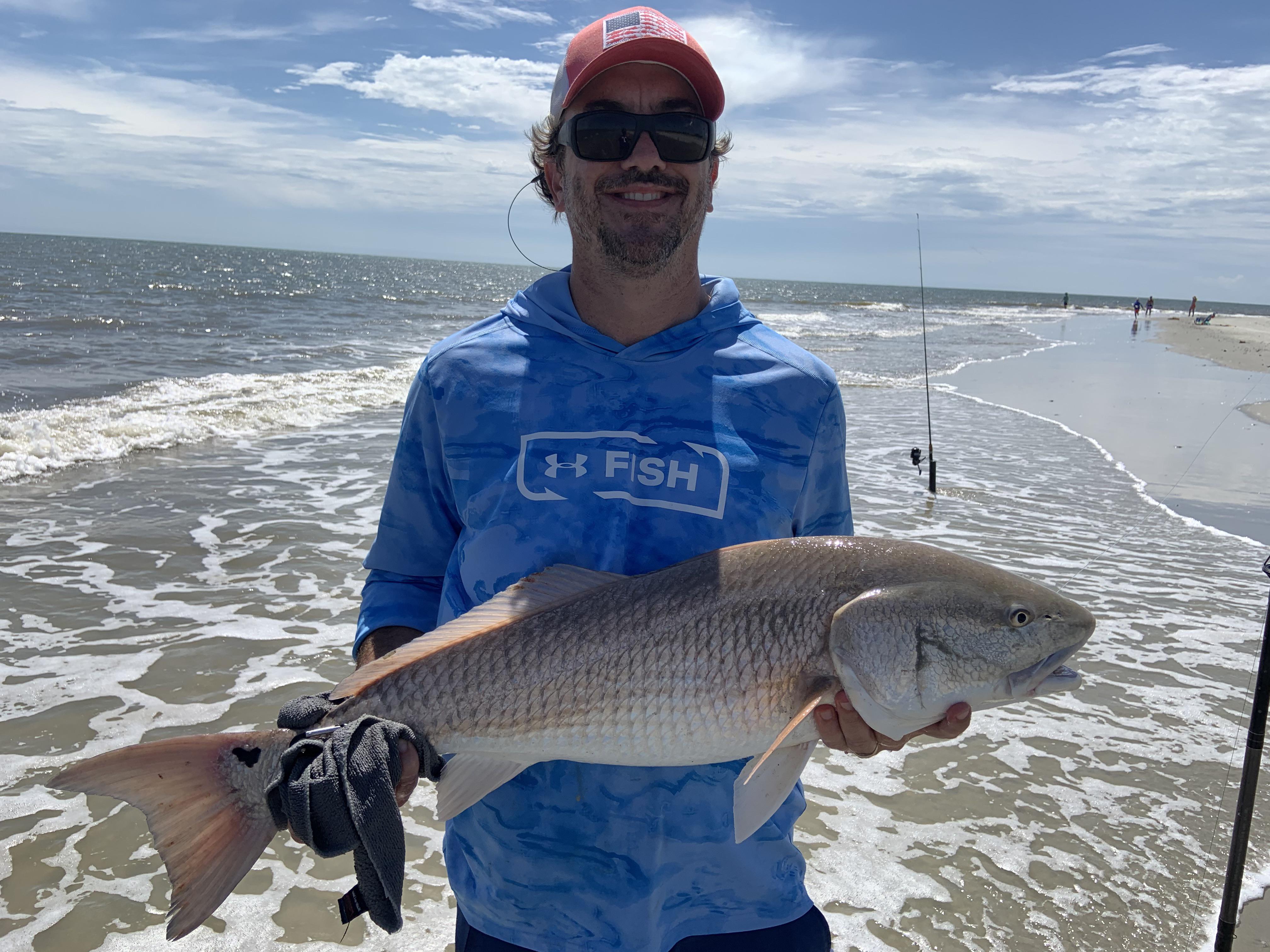 Caught this Red Drum from the surf Isle of Palms, South Carolina r