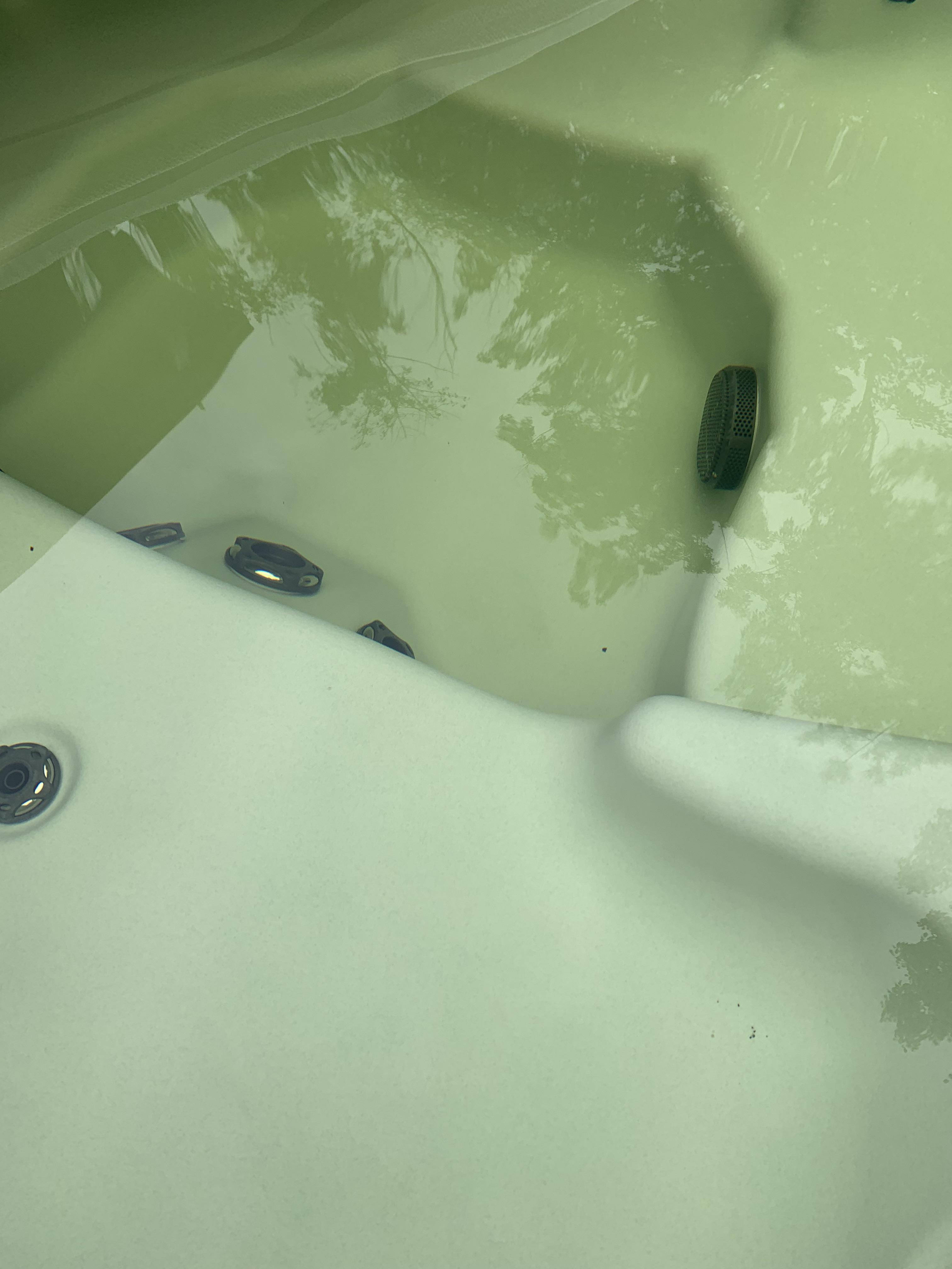 Water is about 3 weeks old and has a green yellow hue but not cloudy at